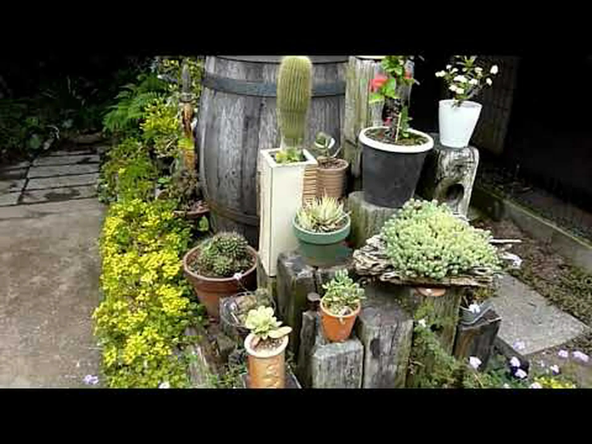 花のまちづくりコンクール 花のまちづくりコンクール