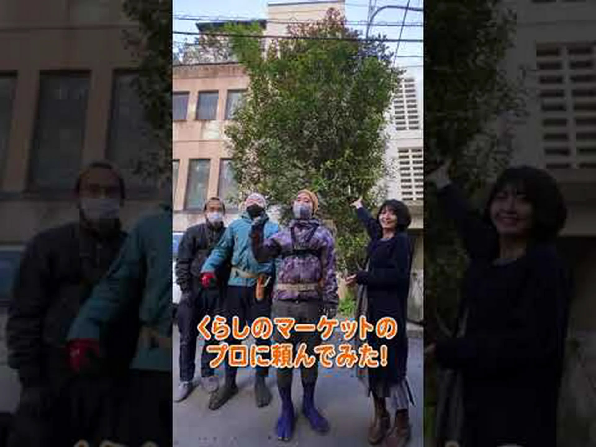 スイミングプールの周りの生垣 スイミングプールの周りの生垣