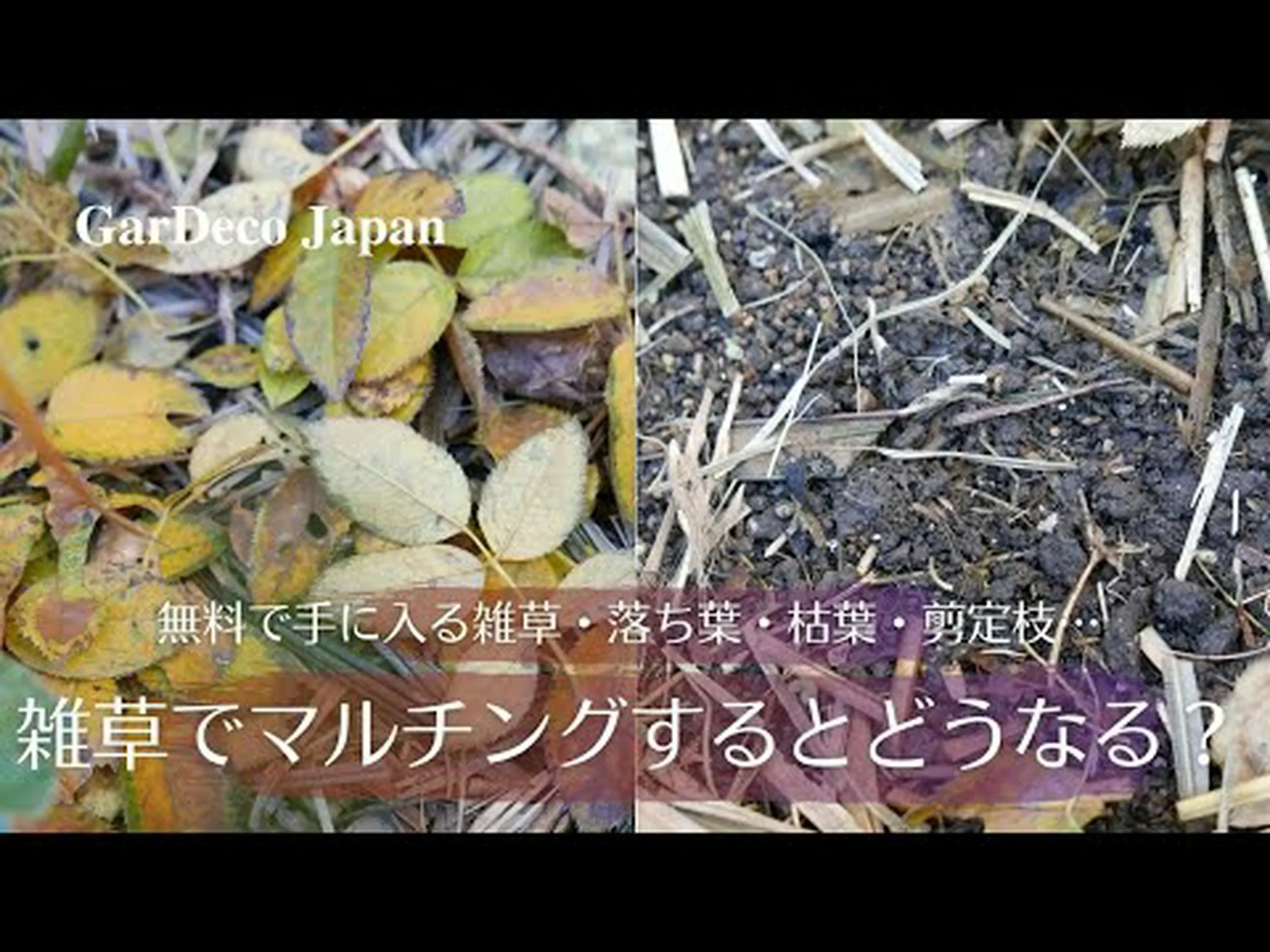 草を剪定する 草を剪定する