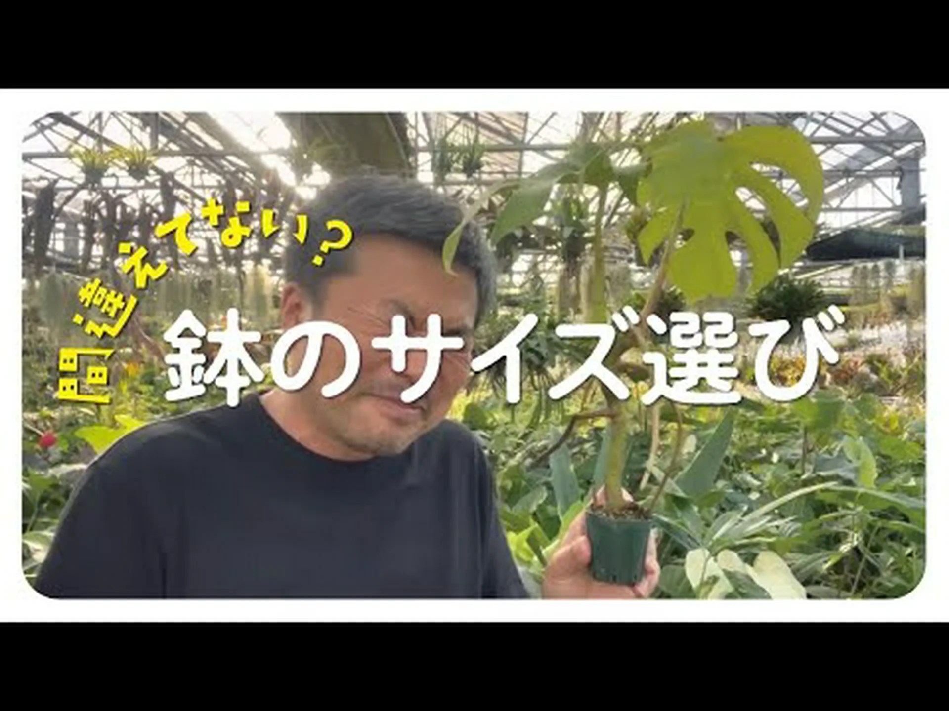 適切な深さに植える 適切な深さに植える