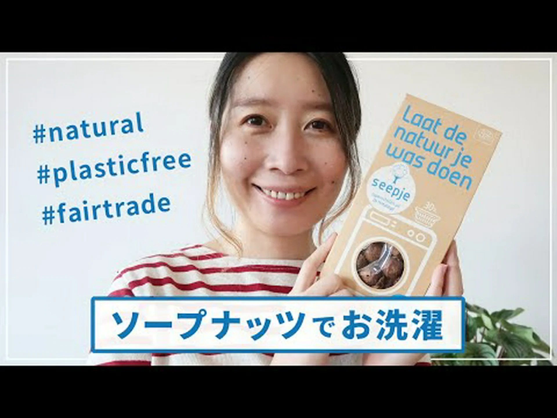 インドの石鹸メーカー、ソープツリー、ソープナッツ インドの石鹸メーカー、ソープツリー、ソープナッツ