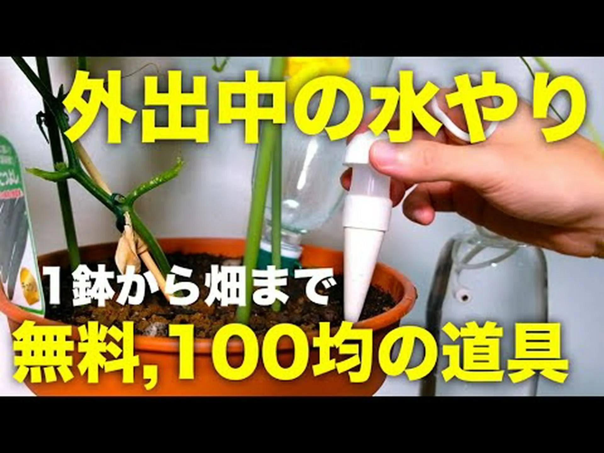 自動水やりシステム 自動水やりシステム