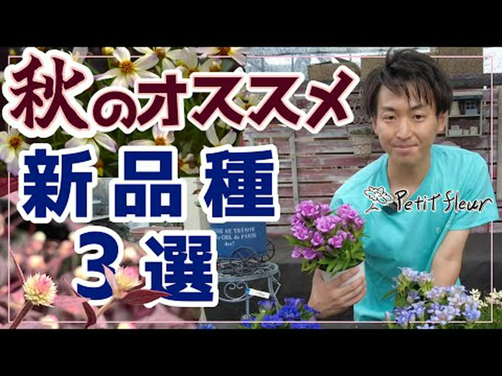 秋のリンドウ 秋のリンドウ