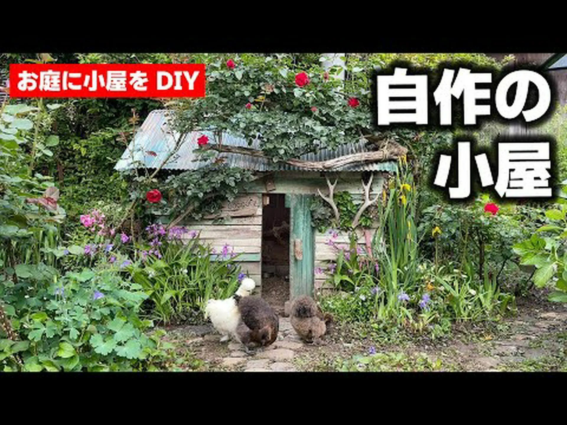 庭にある鶏小屋 庭にある鶏小屋