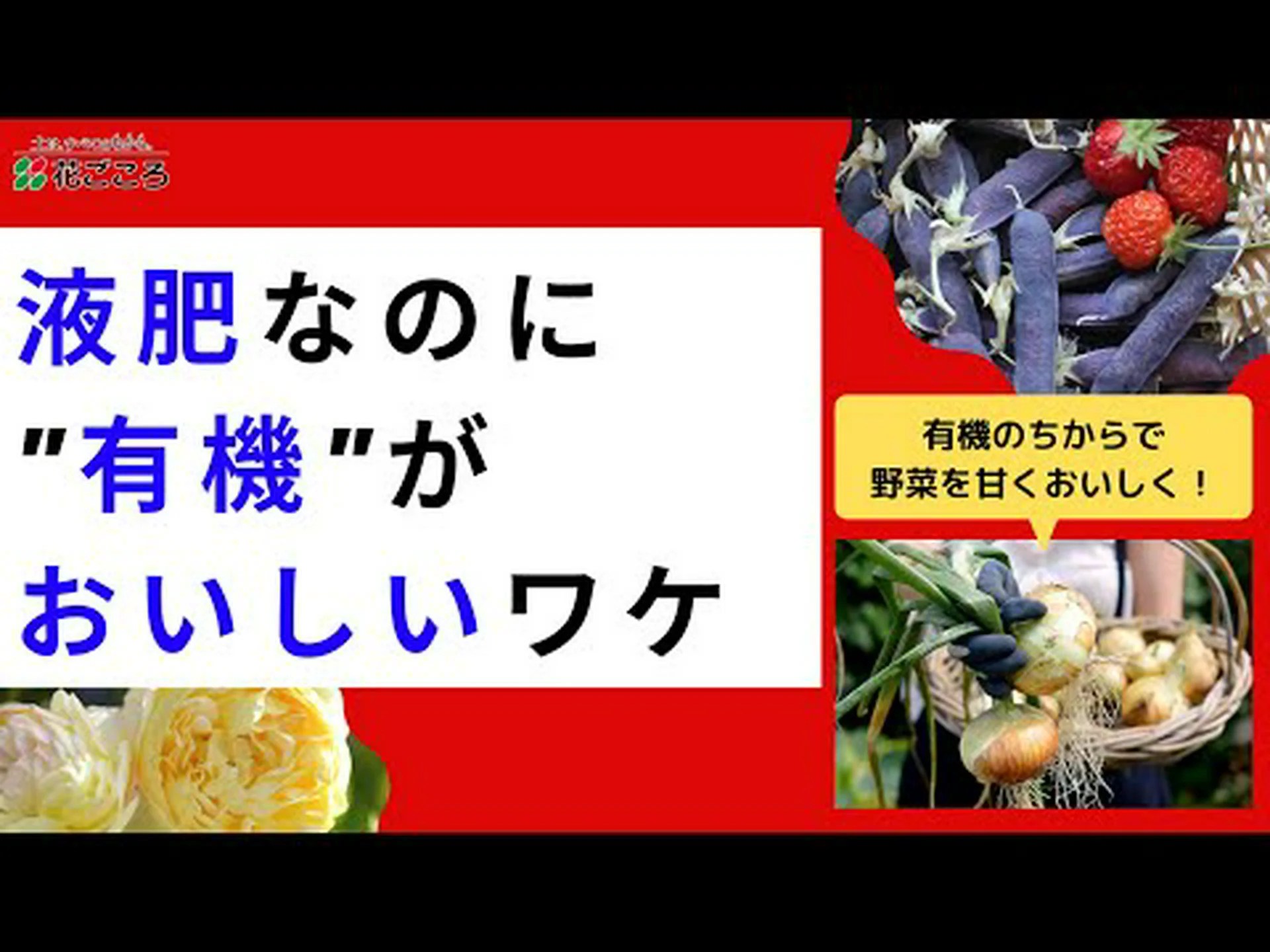 有機園芸 有機園芸