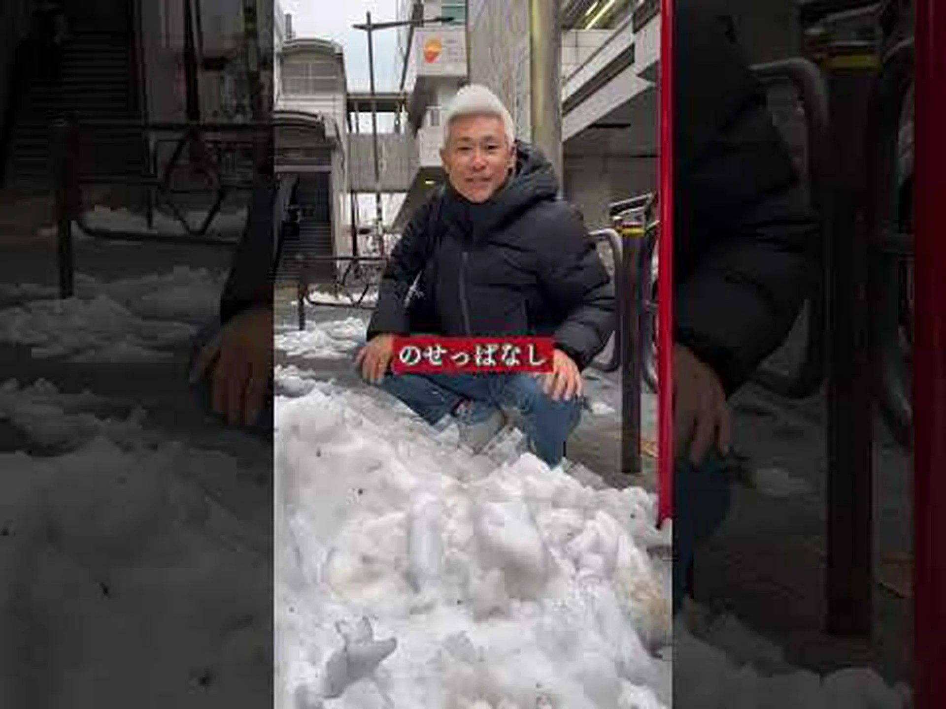 春の雪の結晶、白い鐘 春の雪の結晶、白い鐘