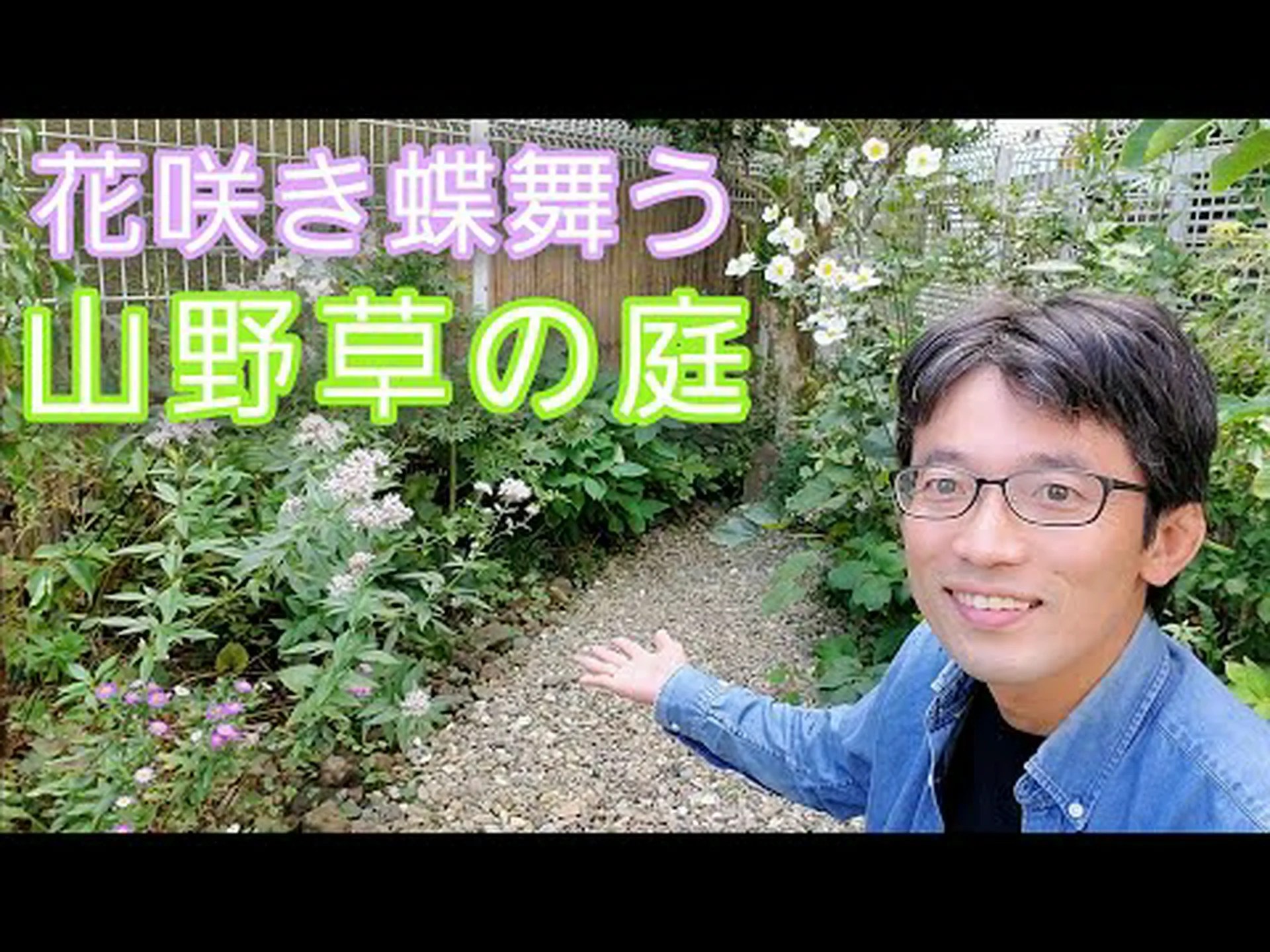山塊の草 山塊の草