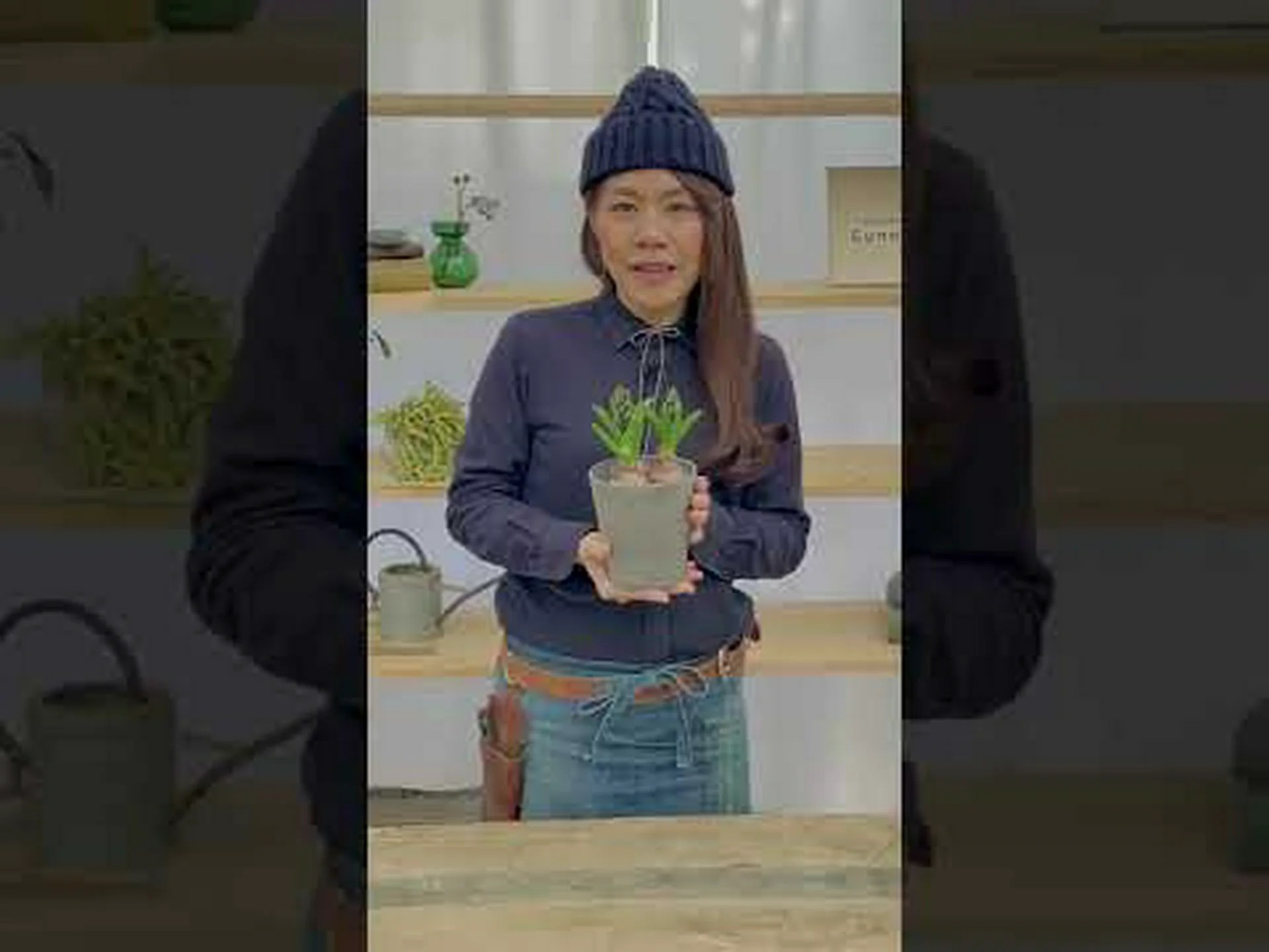 スパニッシュスクイラ、スパニッシュヒヤシンス スパニッシュスクイラ、スパニッシュヒヤシンス