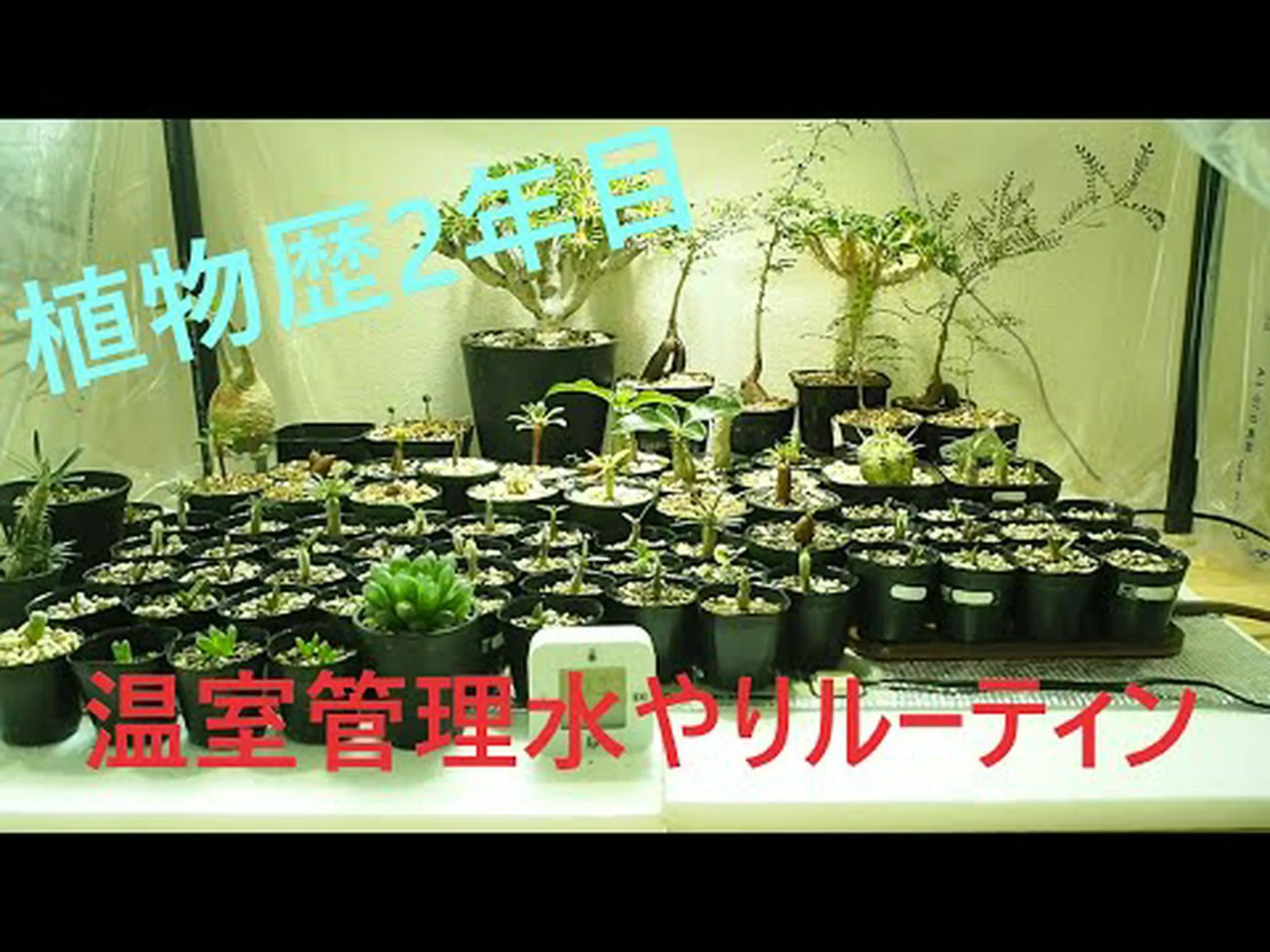 温室内の水やり管理 温室内の水やり管理