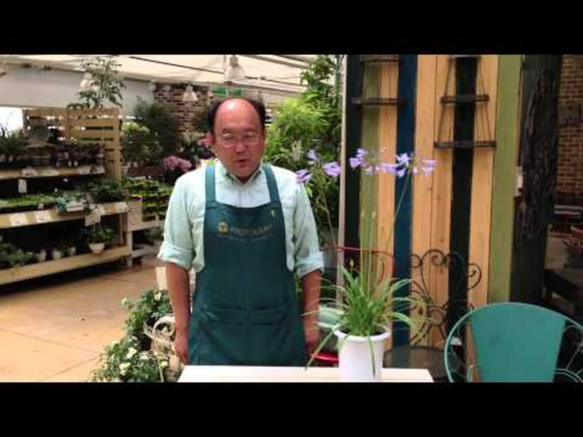 アガパンサス、ナイルユリ、ブルーチュベローズ アガパンサス、ナイルユリ、ブルーチュベローズ