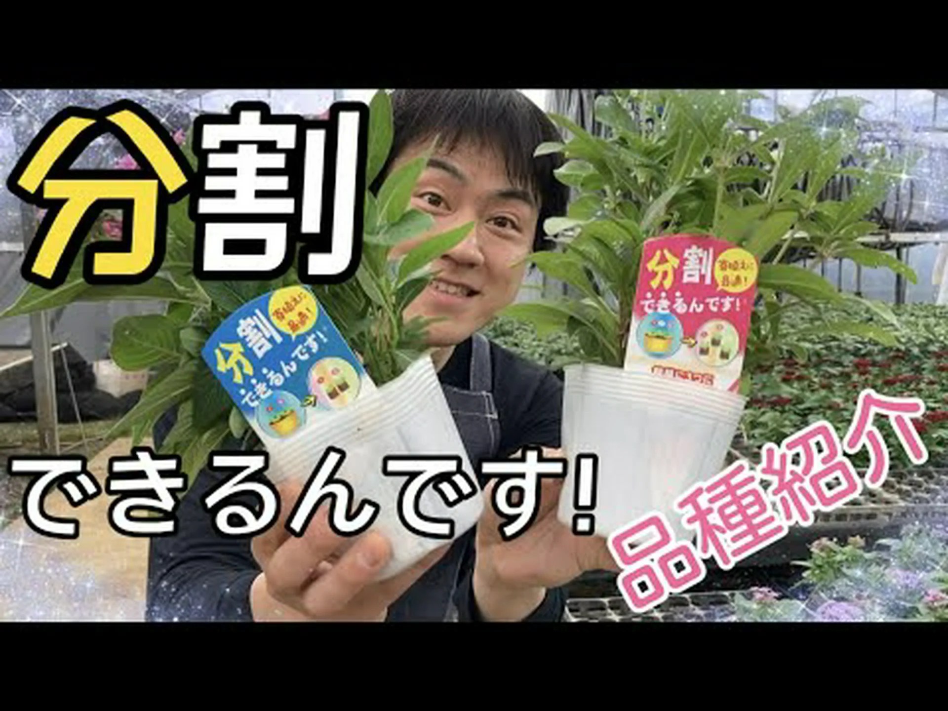 工場の分割 工場の分割