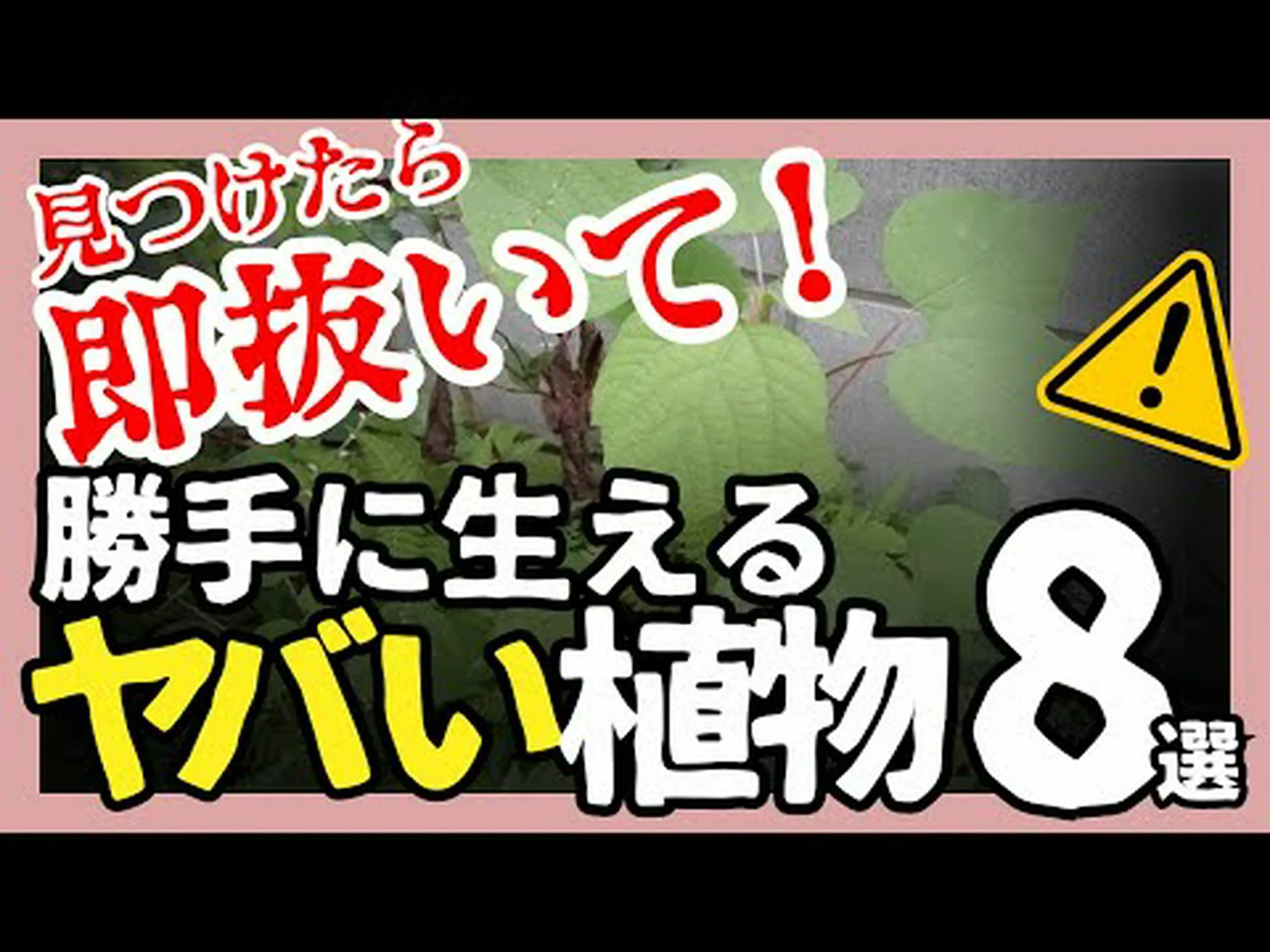 ガーデニングの危険性 ガーデニングの危険性