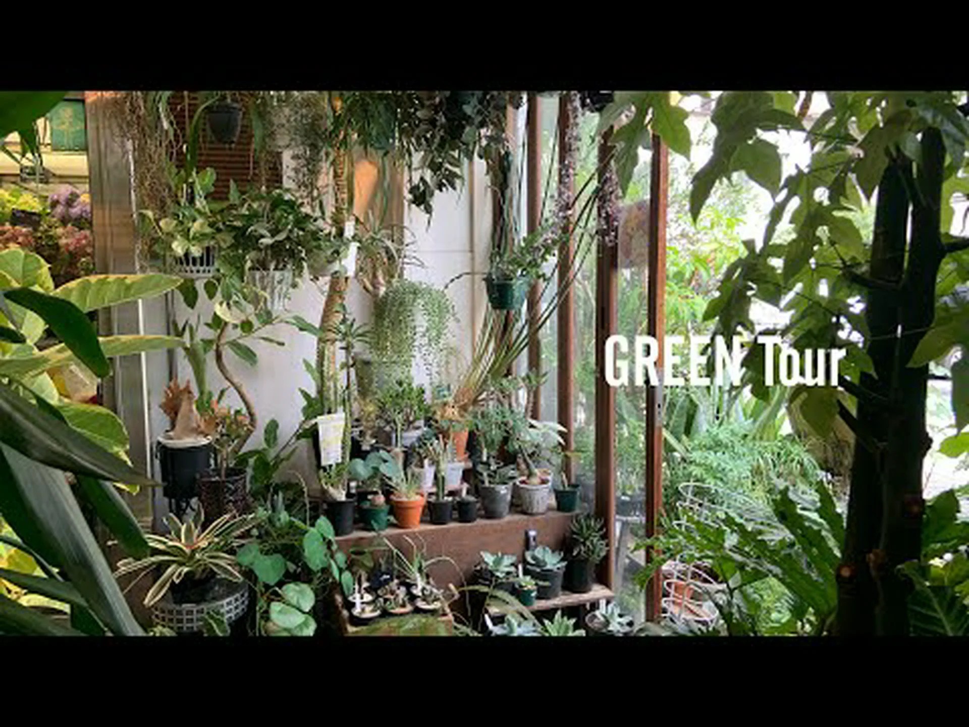 愛のアドニス、愛のアドニデ 愛のアドニス、愛のアドニデ