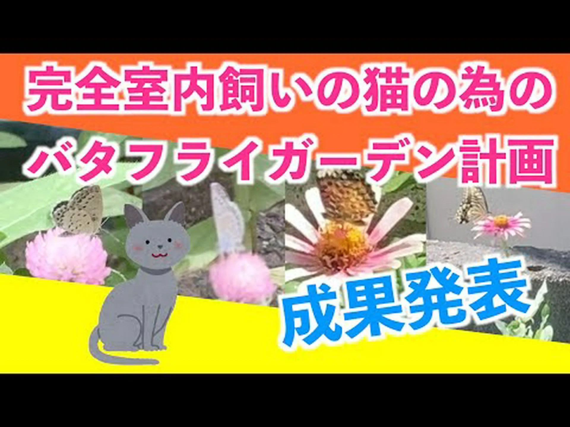 庭に蝶を呼び寄せる 庭に蝶を呼び寄せる