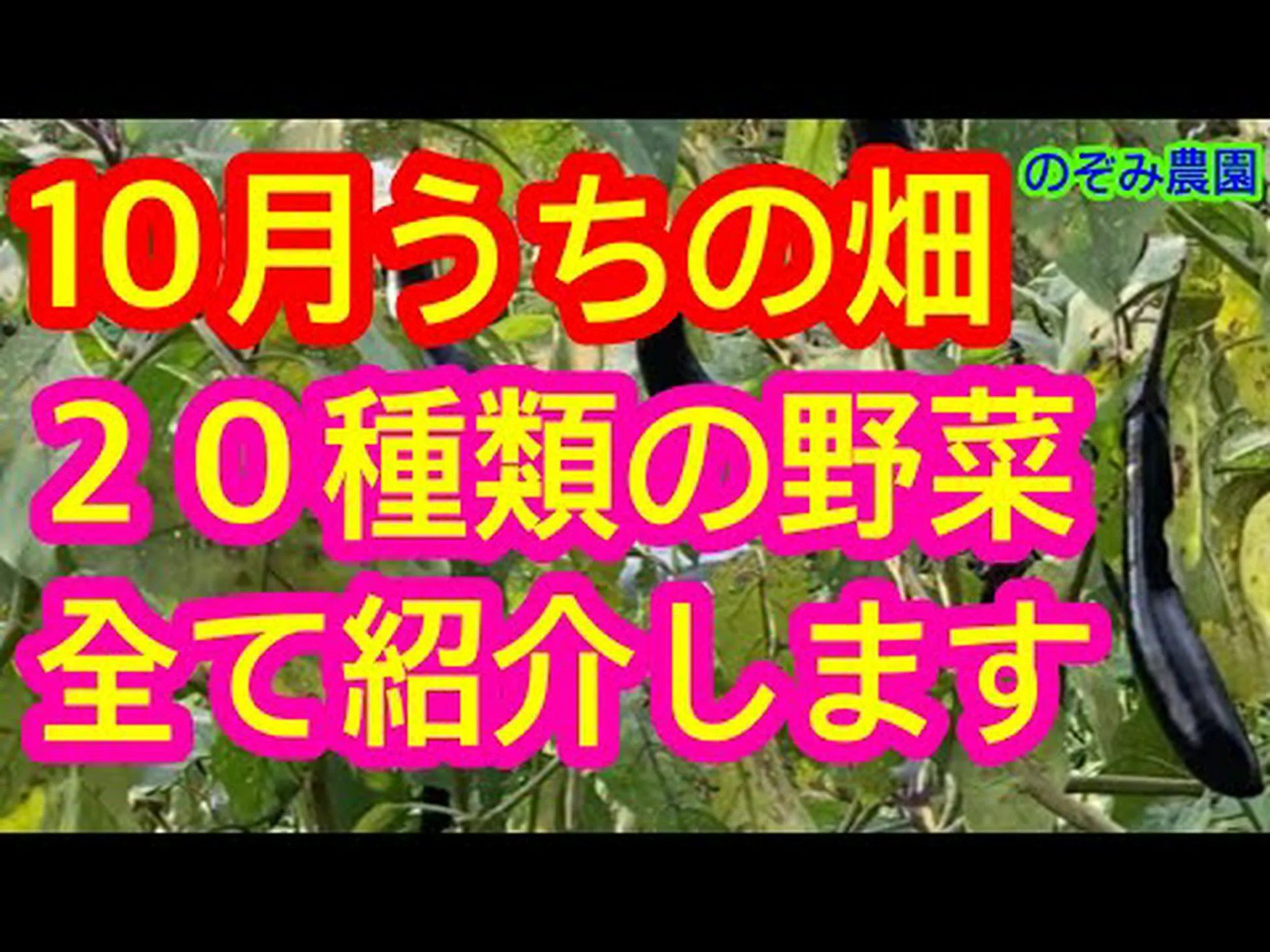 あまり知られていない10の野菜 あまり知られていない10の野菜