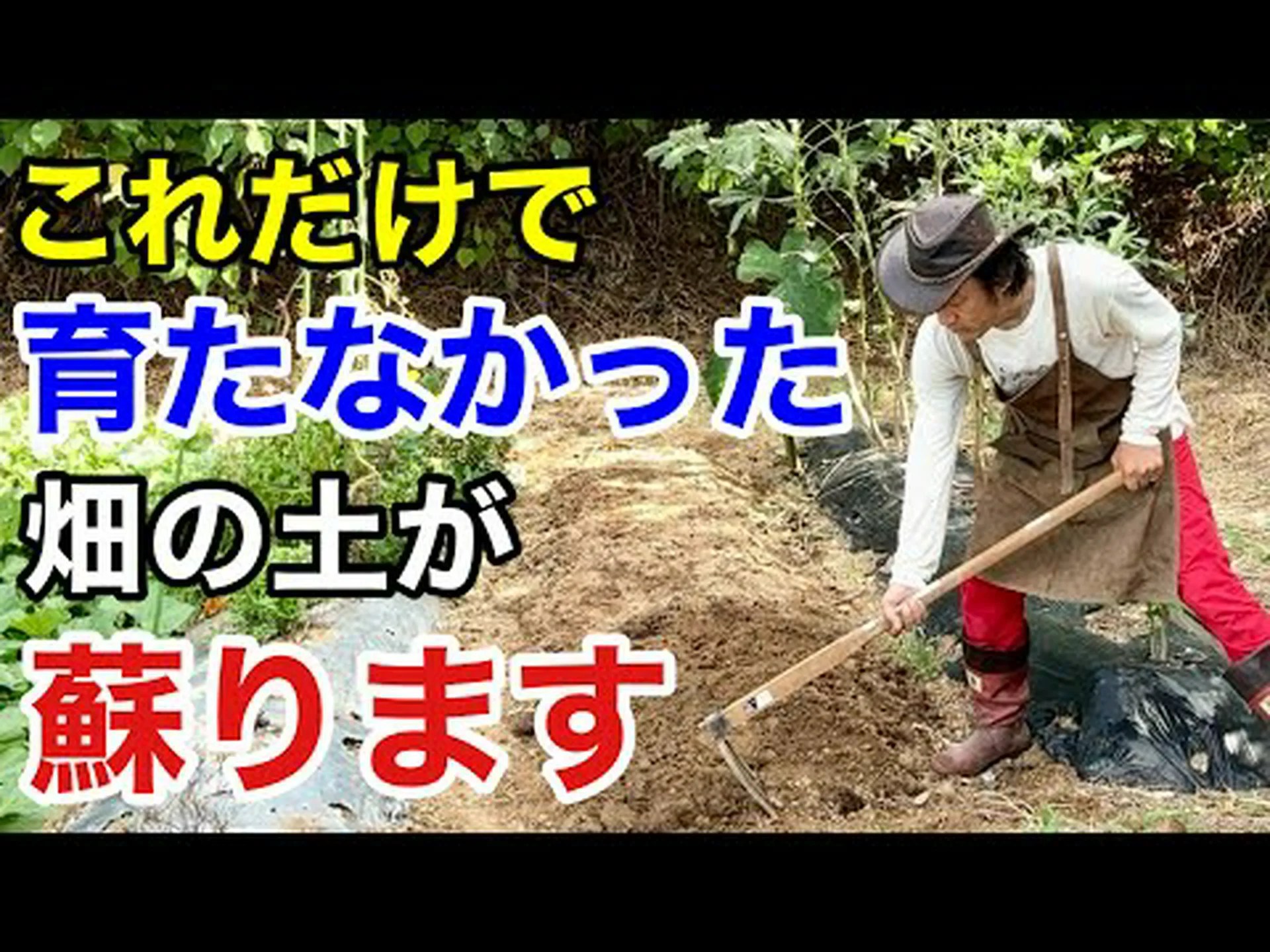 BRFで土壌改良 BRFで土壌改良