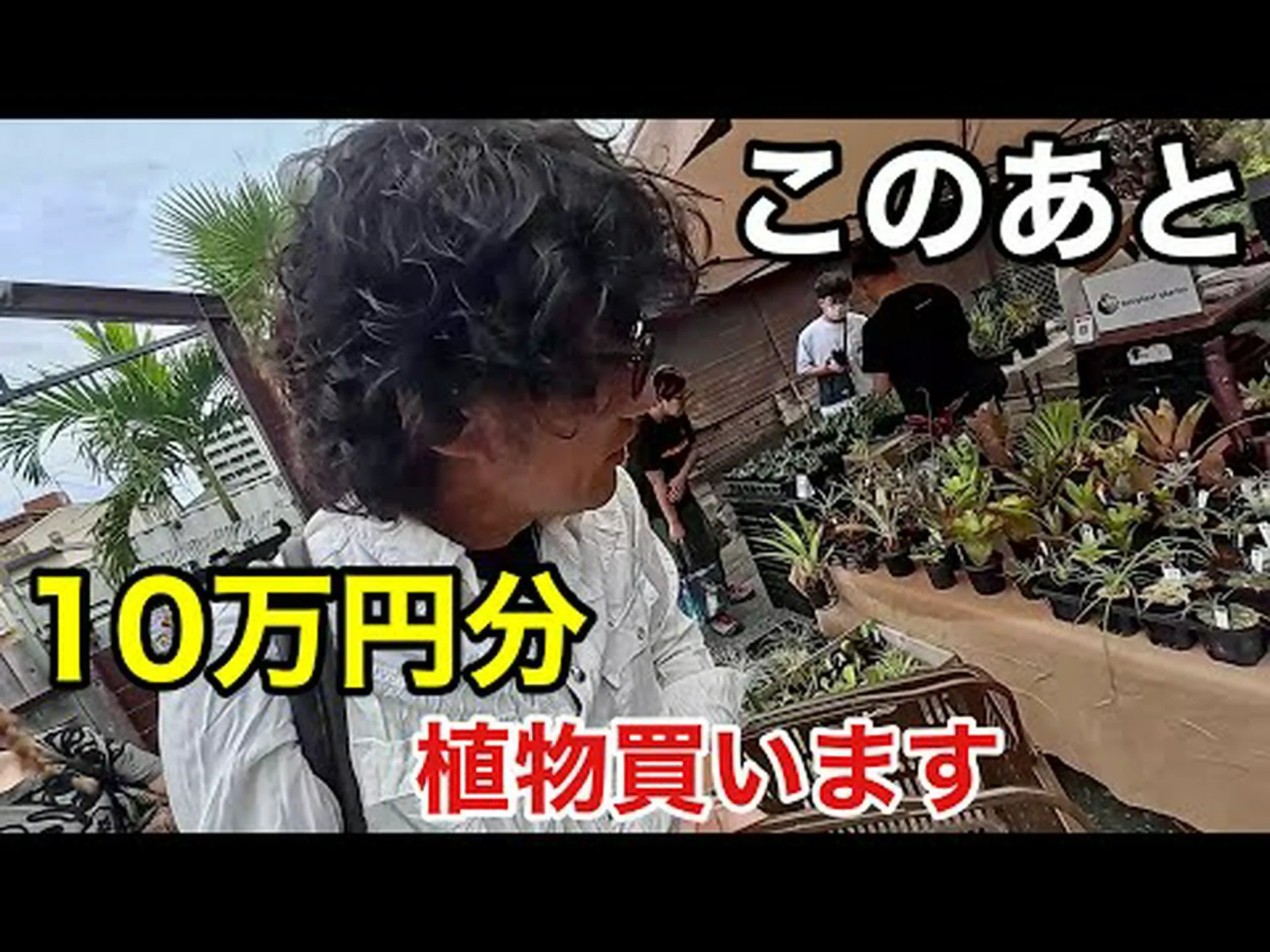 カンザスフェザー カンザスフェザー