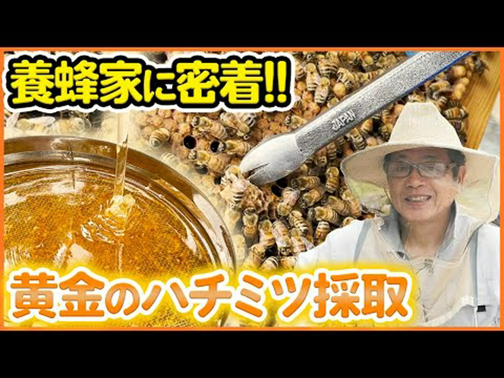ミツバチを助ける蜂蜜を作る10本の低木 ミツバチを助ける蜂蜜を作る10本の低木