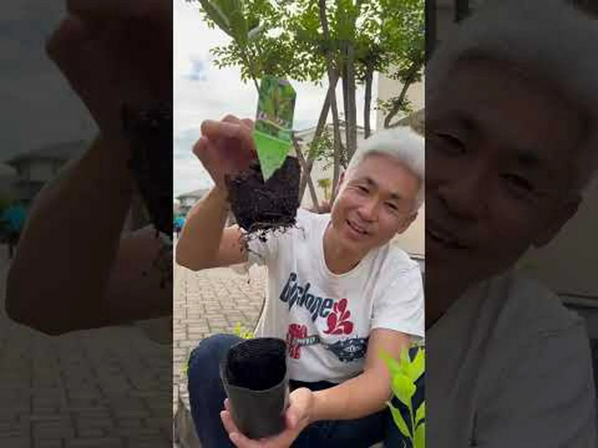 中国のロロペタ 中国のロロペタ