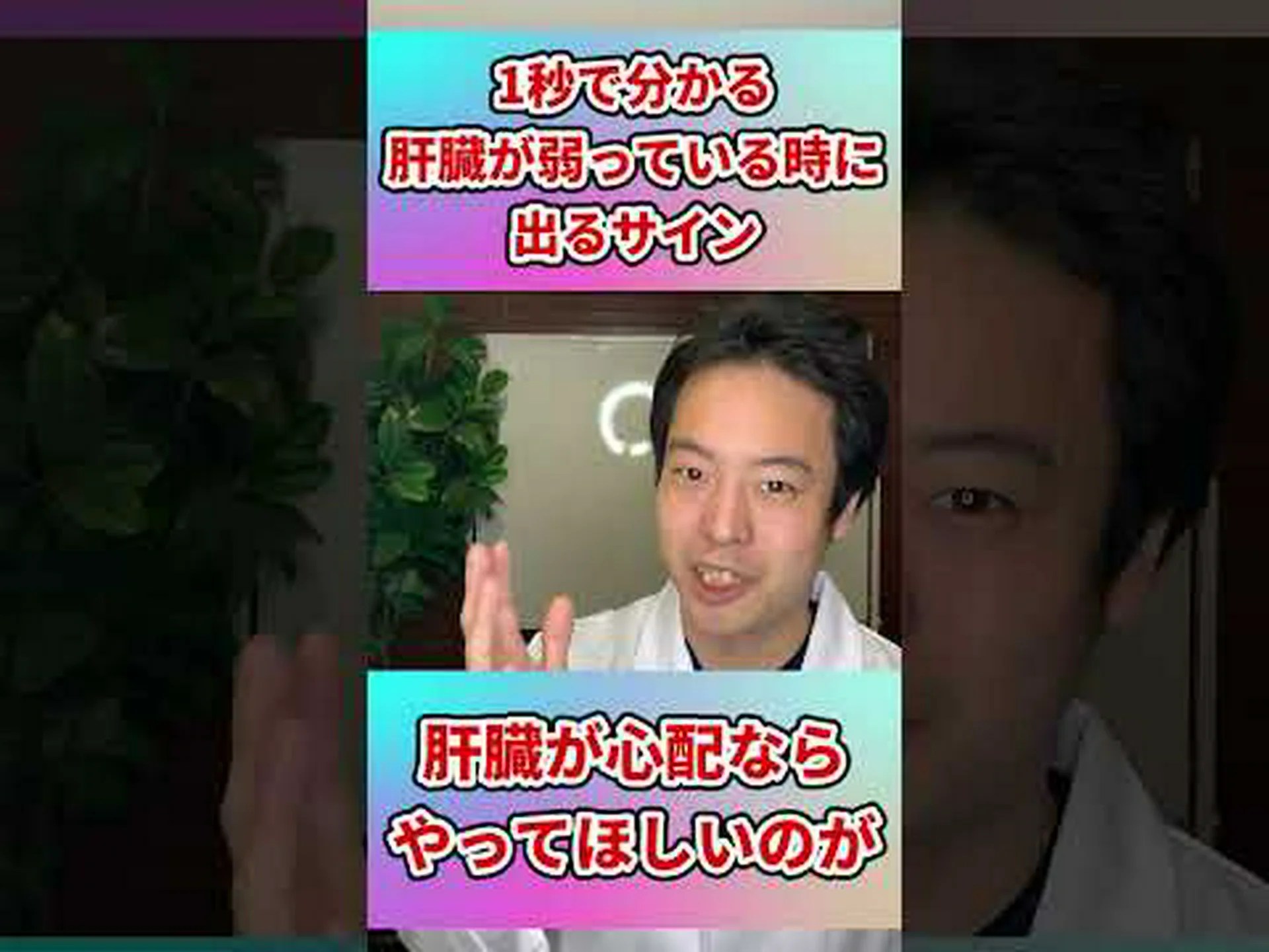 肝臓イソギンチャク 肝臓イソギンチャク