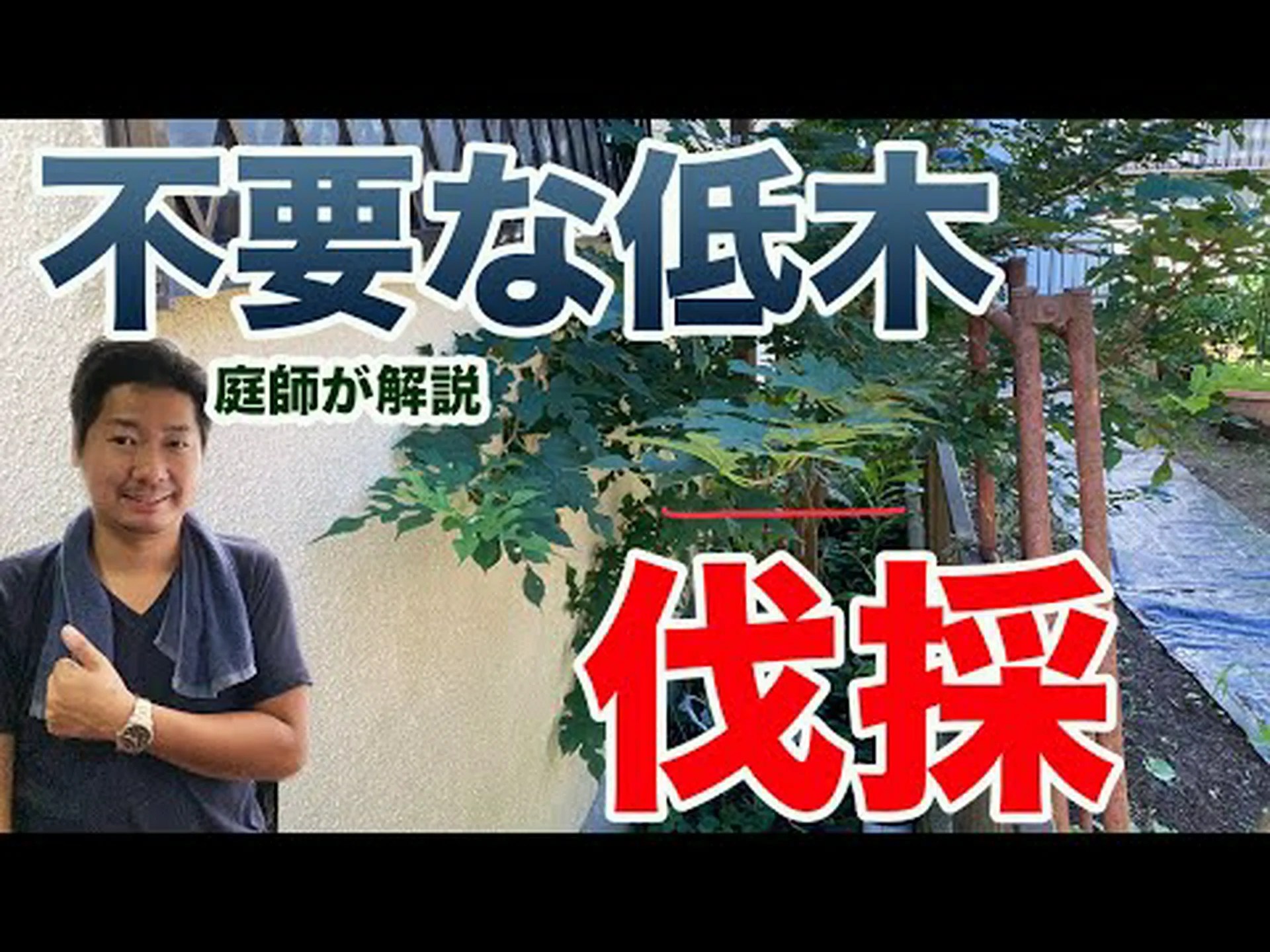 木や低木の伐採 木や低木の伐採