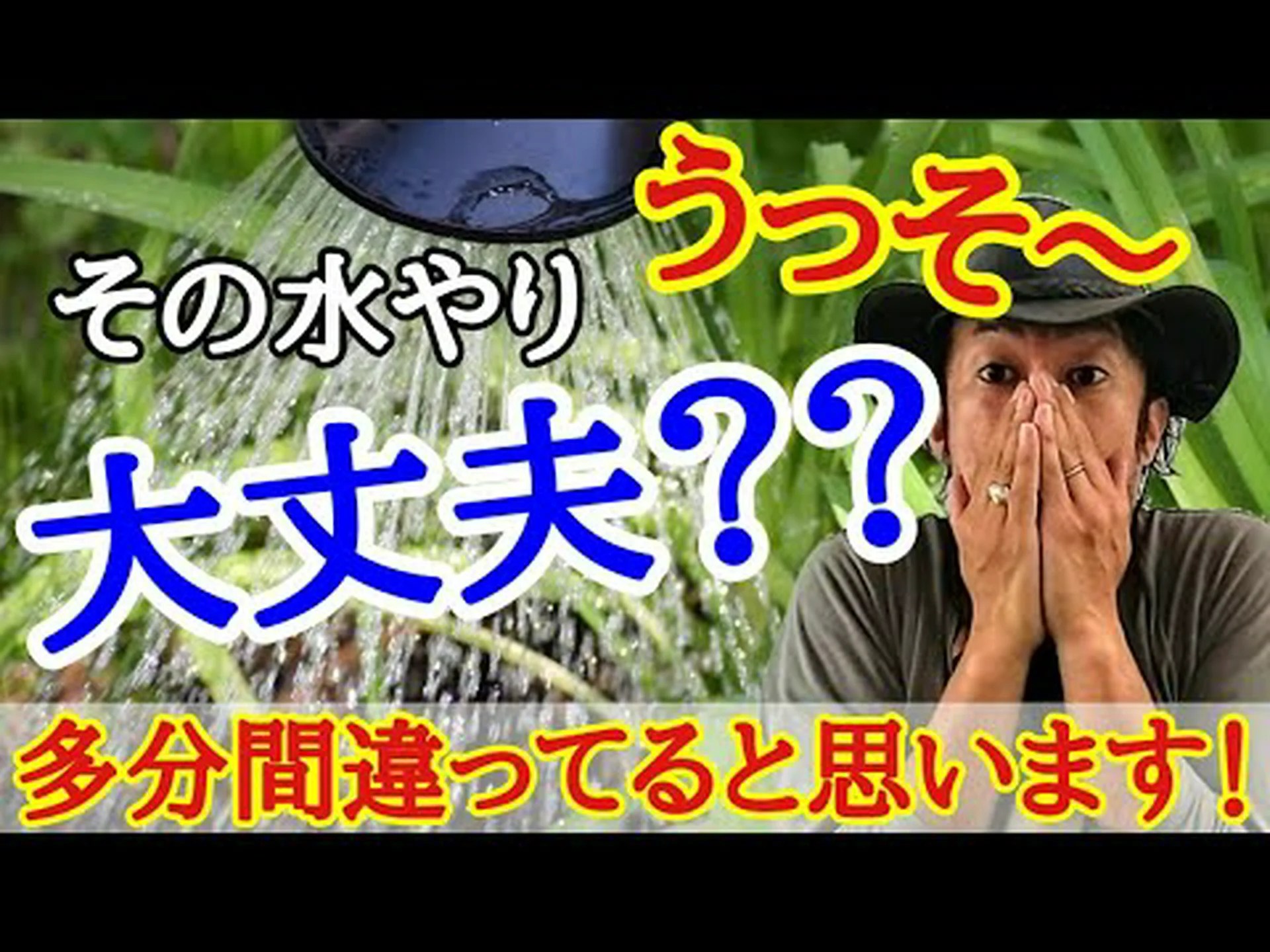 効率的な水やりのコツ 効率的な水やりのコツ