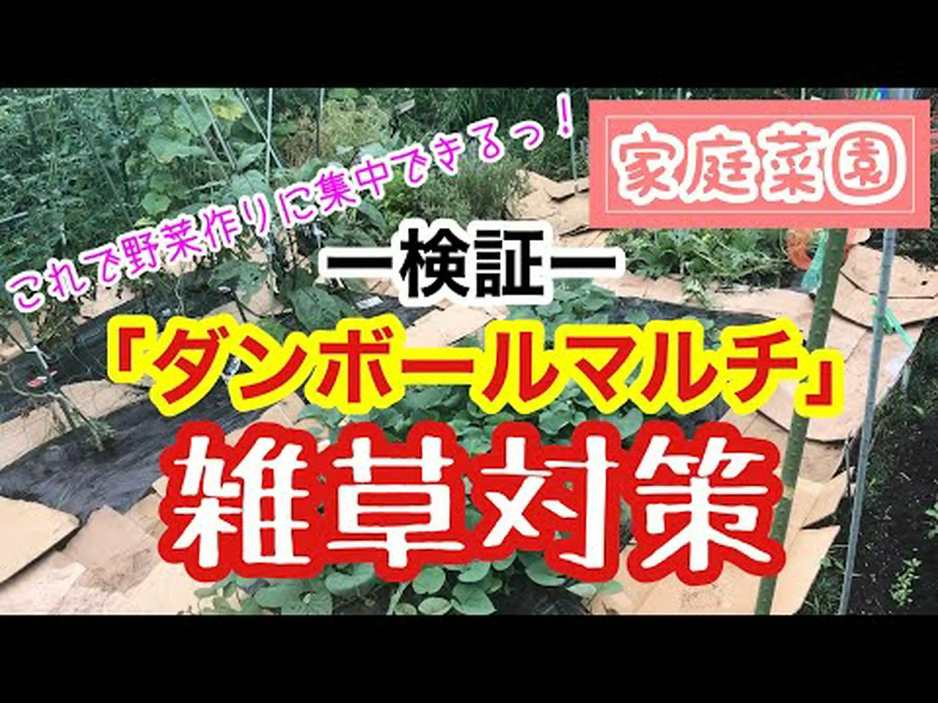 マルチングに段ボールを使用する マルチングに段ボールを使用する