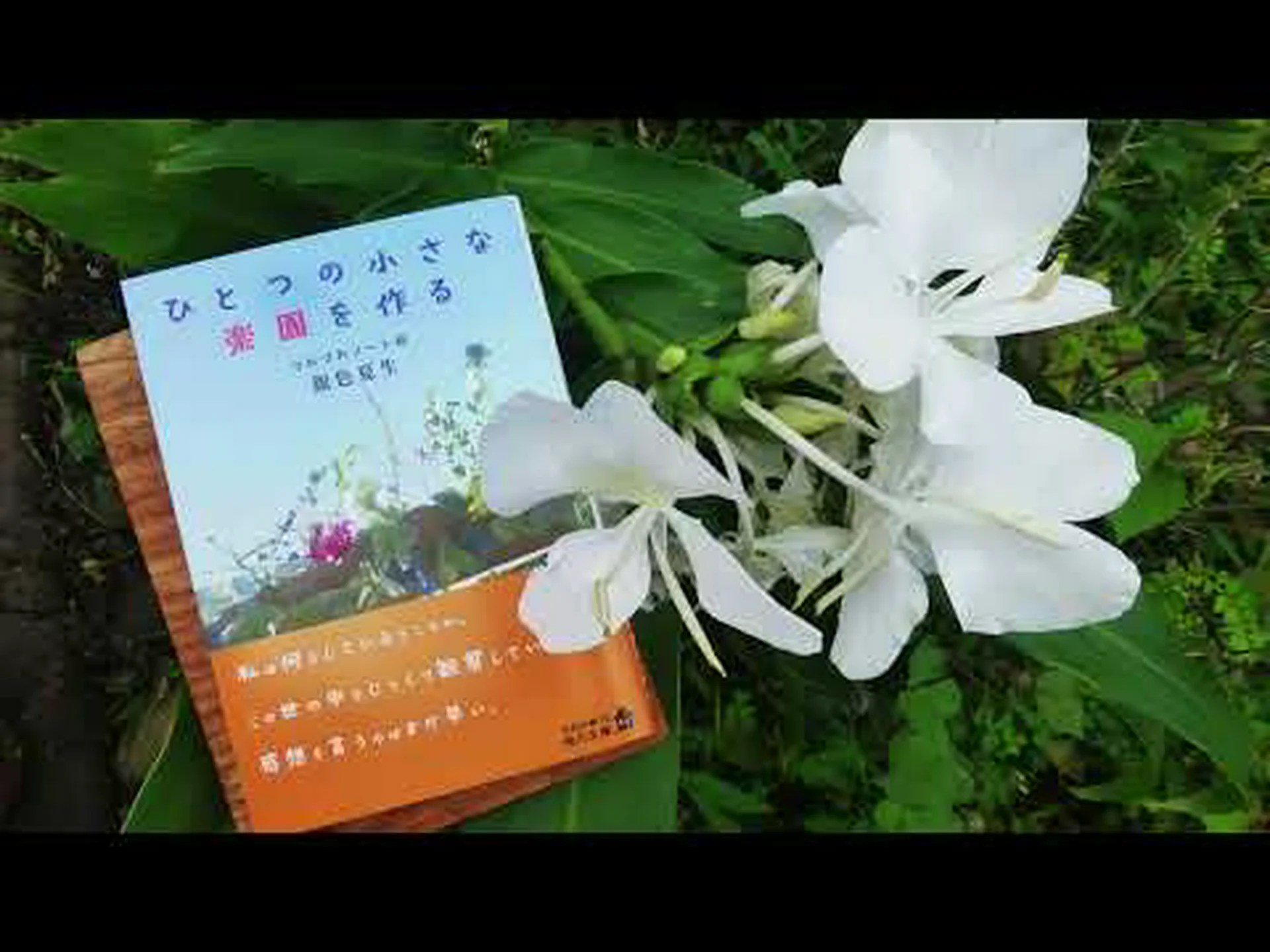 庭師の辞書の文字 F 庭師の辞書の文字 F