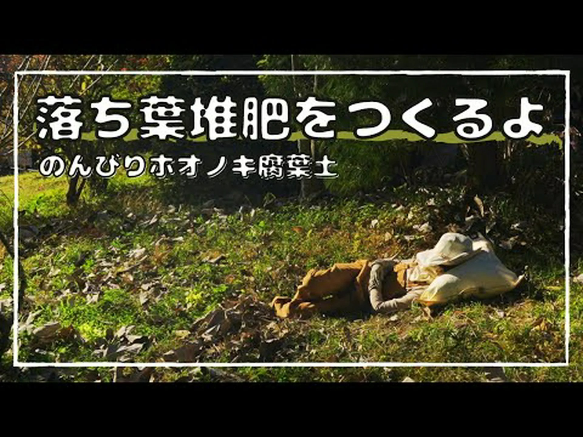 落ち葉から堆肥を作る 落ち葉から堆肥を作る