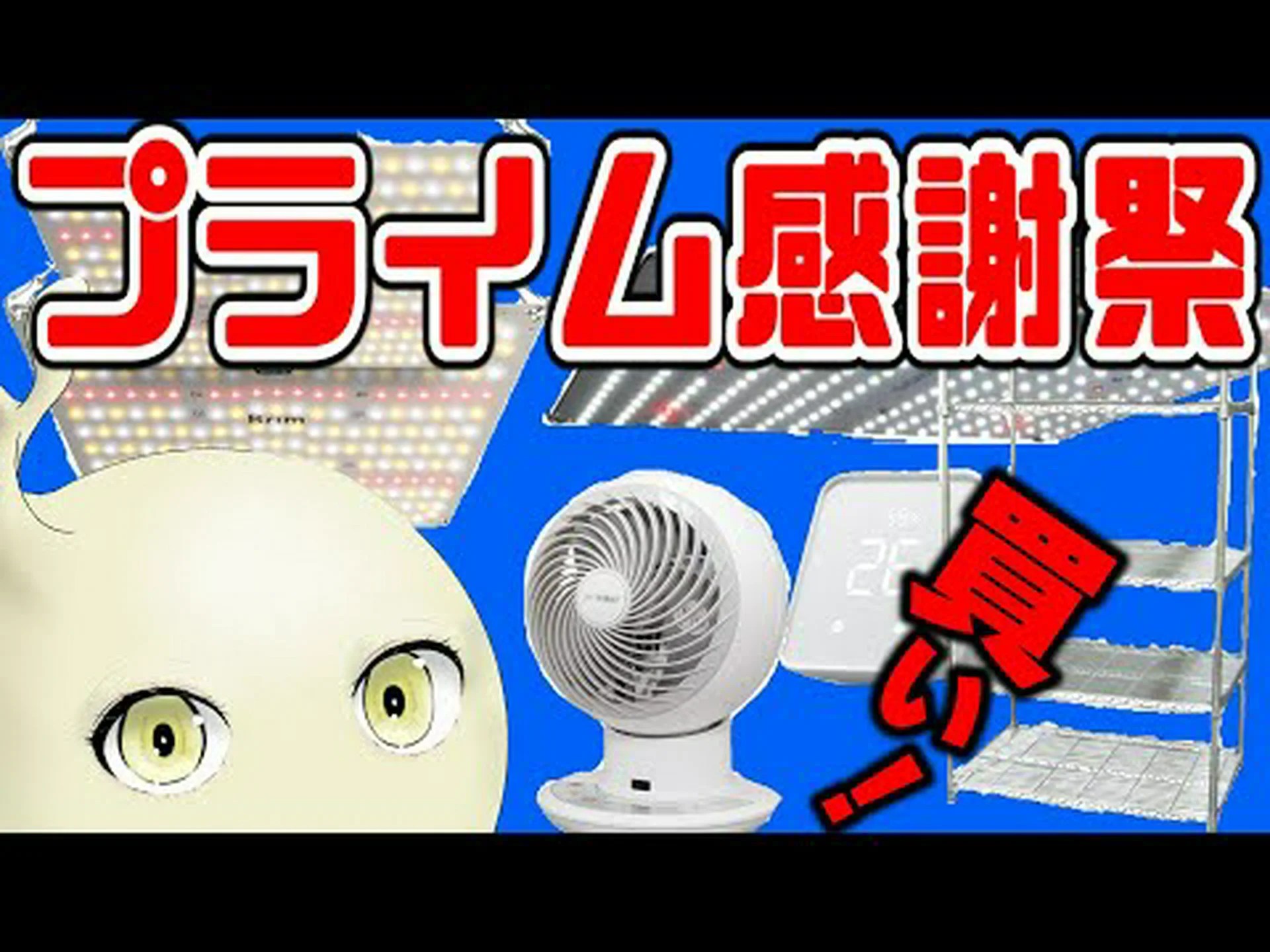 ヨセフのマント、クロトン ヨセフのマント、クロトン