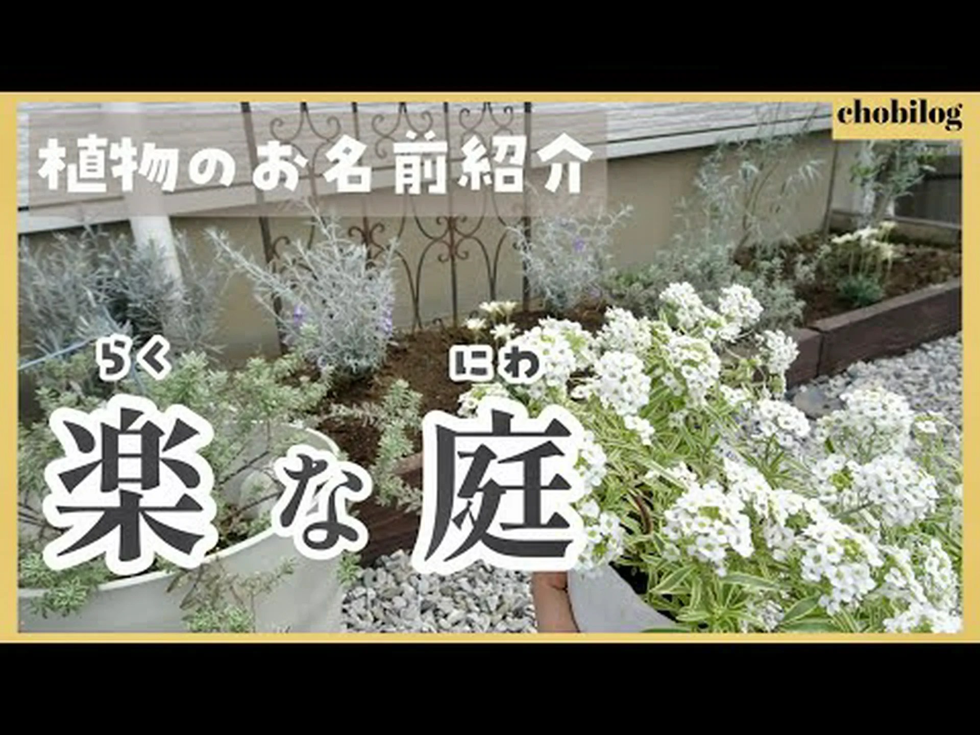 サスペンション用の花 サスペンション用の花