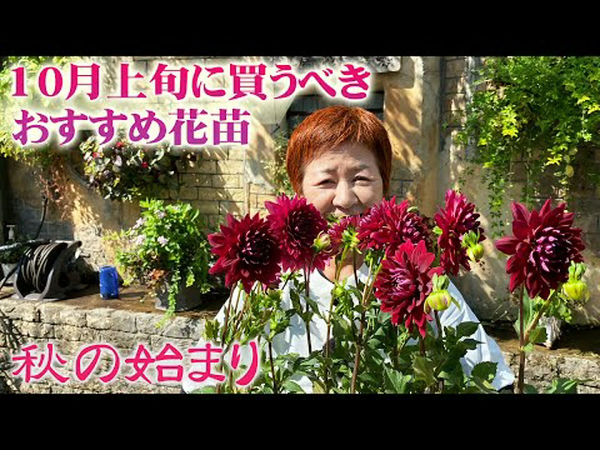 シモナンテ シモナンテ