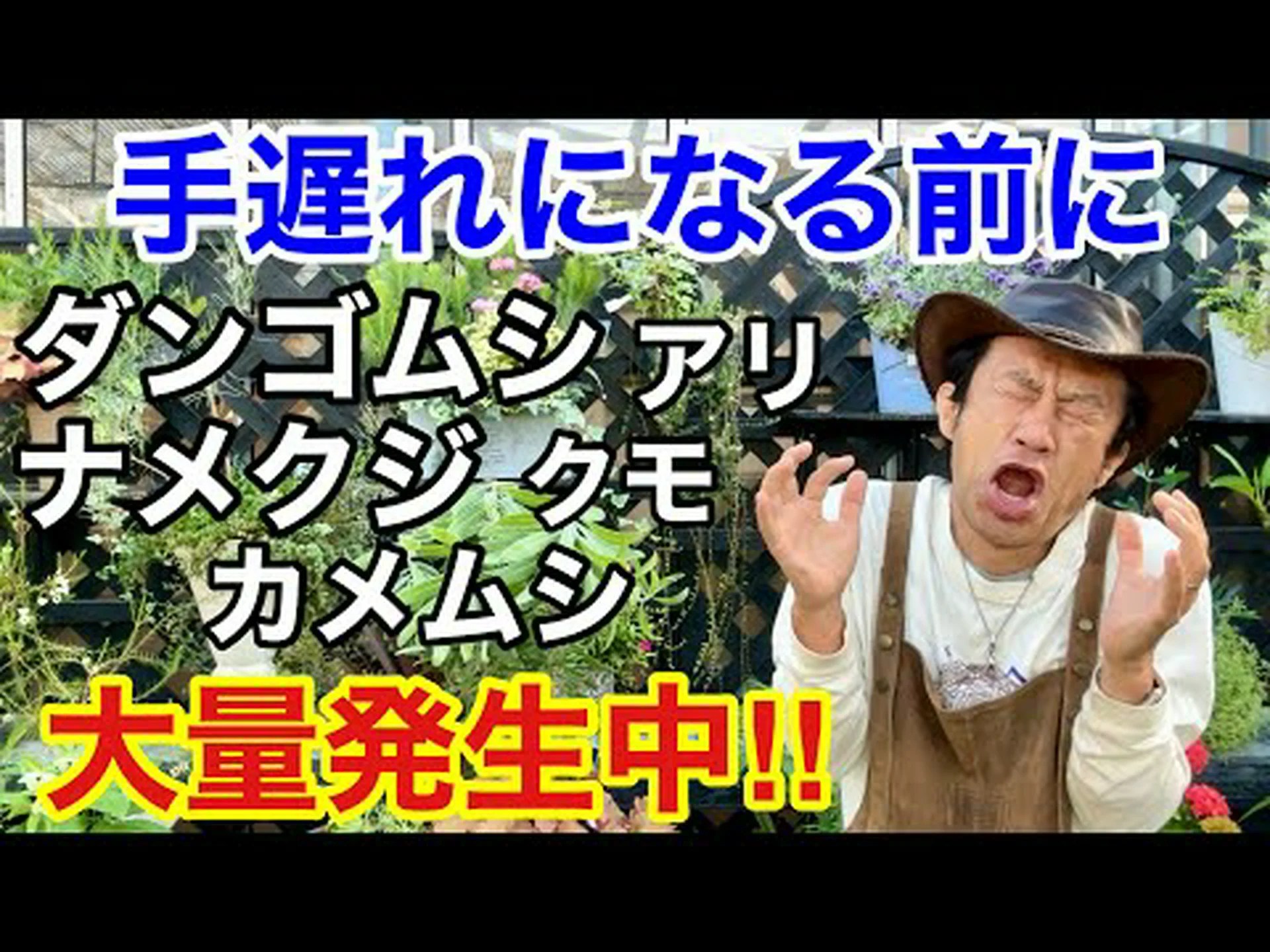 もう庭の害虫について話すのはやめましょう。 もう庭の害虫について話すのはやめましょう。