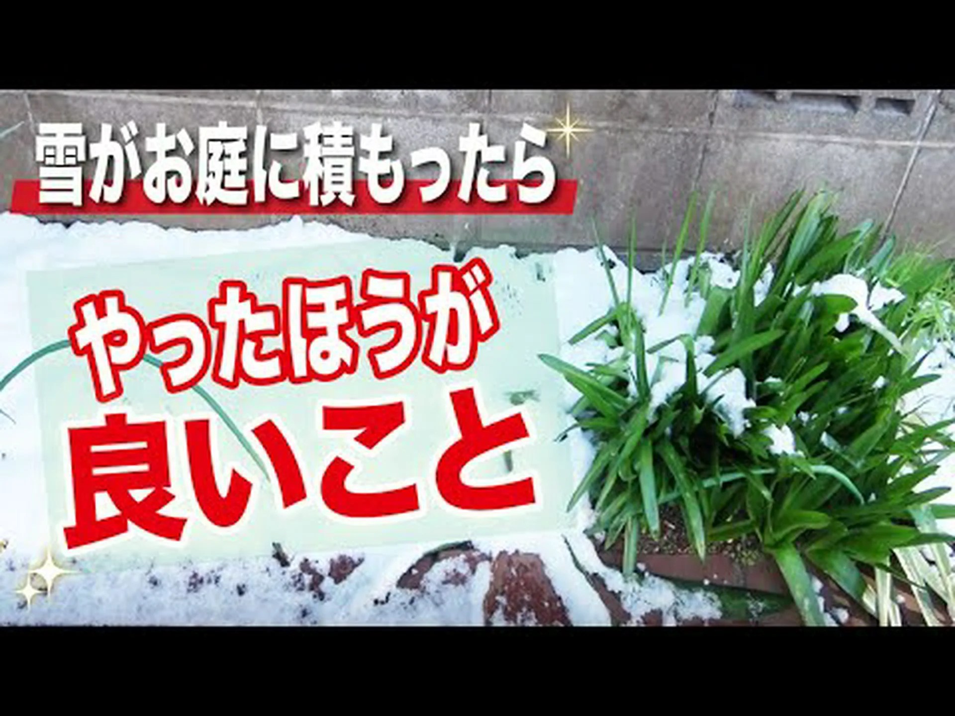 庭の雪の利点 庭の雪の利点