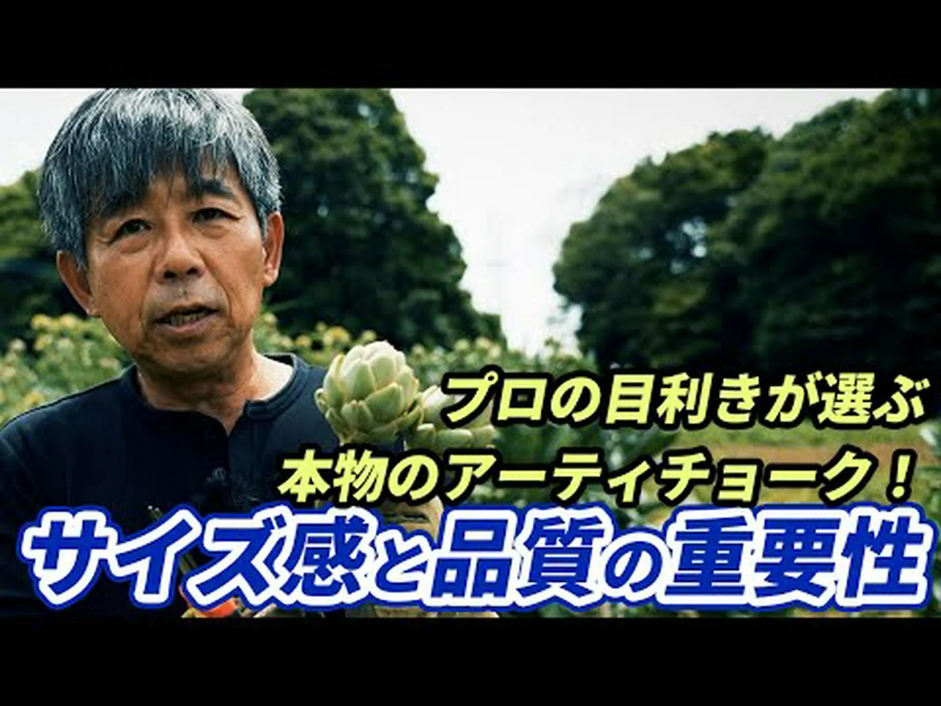 アーティチョーク、さまざまな利点 アーティチョーク、さまざまな利点