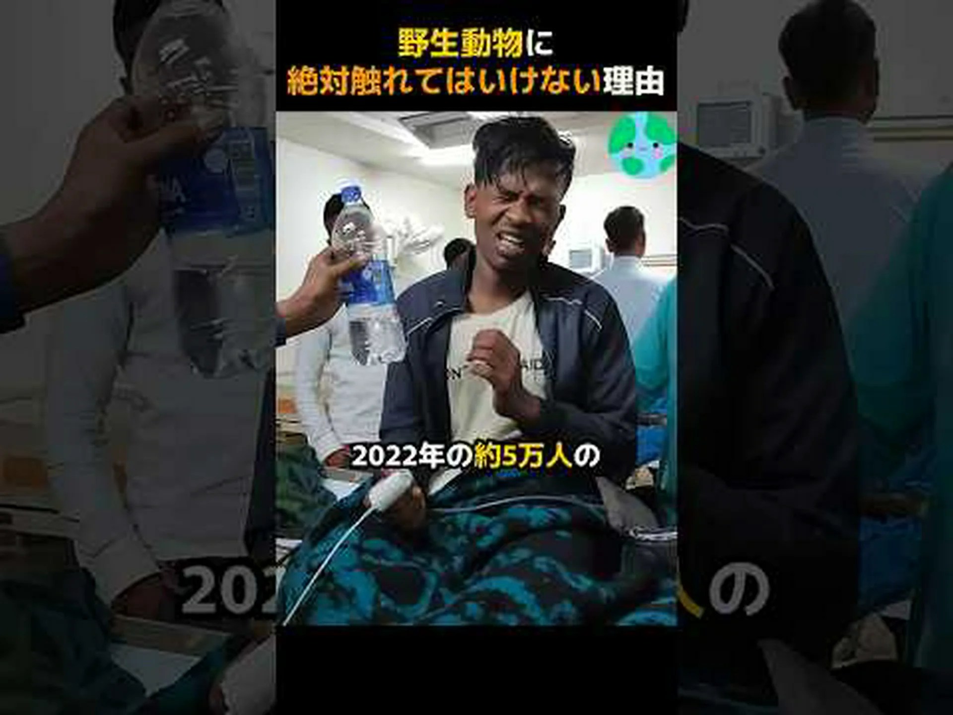 あまり知られていない野生の果樹 あまり知られていない野生の果樹