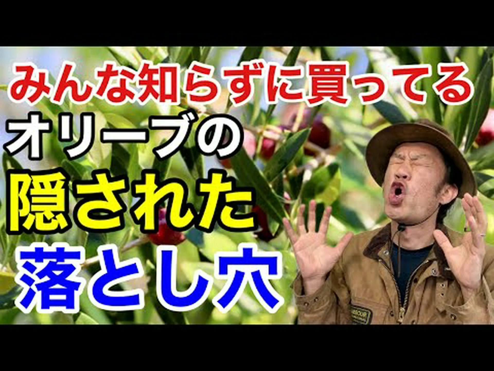 冬にオリーブの木を守るにはどうすればよいですか? 冬にオリーブの木を守るにはどうすればよいですか?