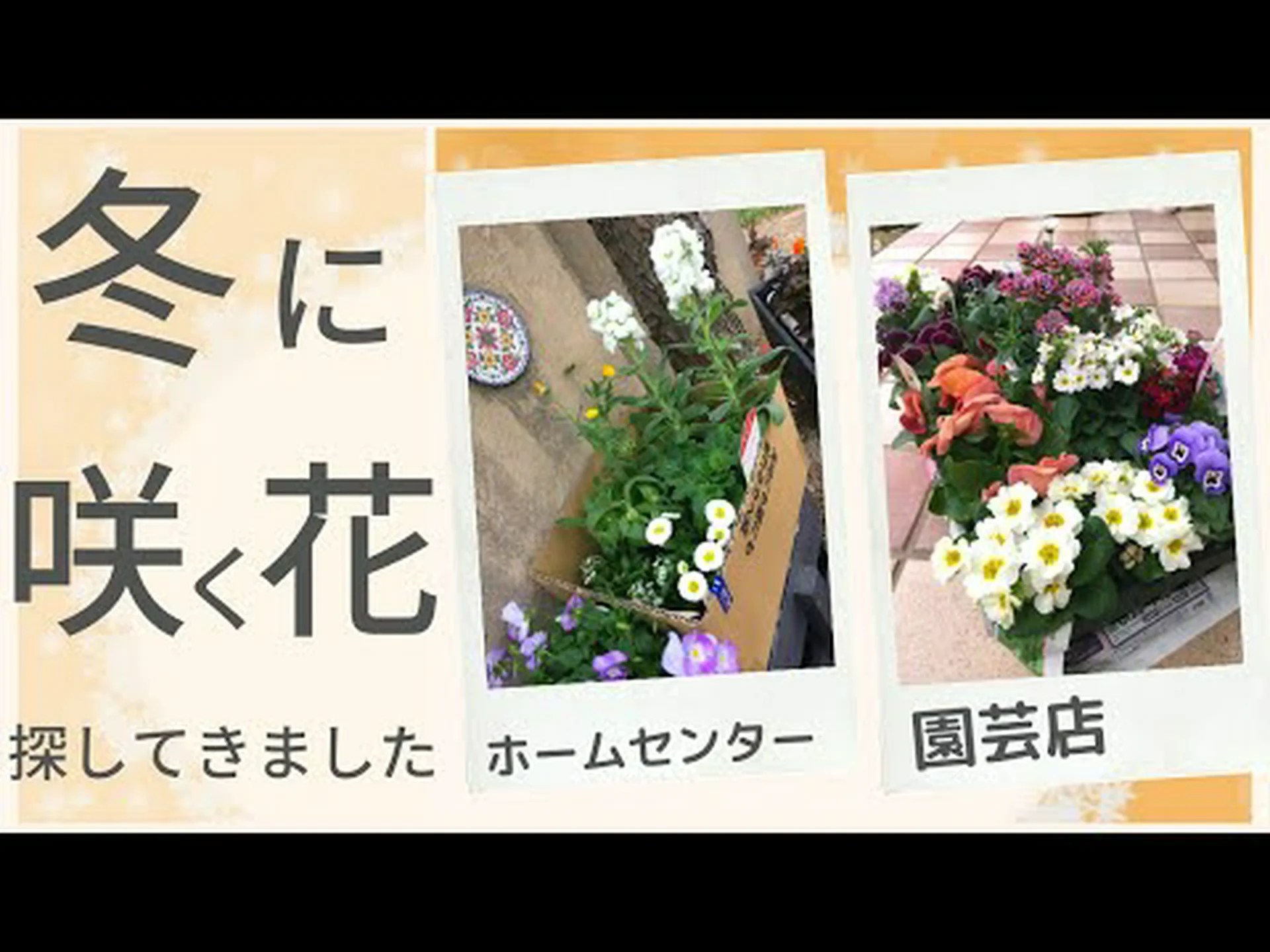 冬の到来に抵抗したほうがいい 冬の到来に抵抗したほうがいい