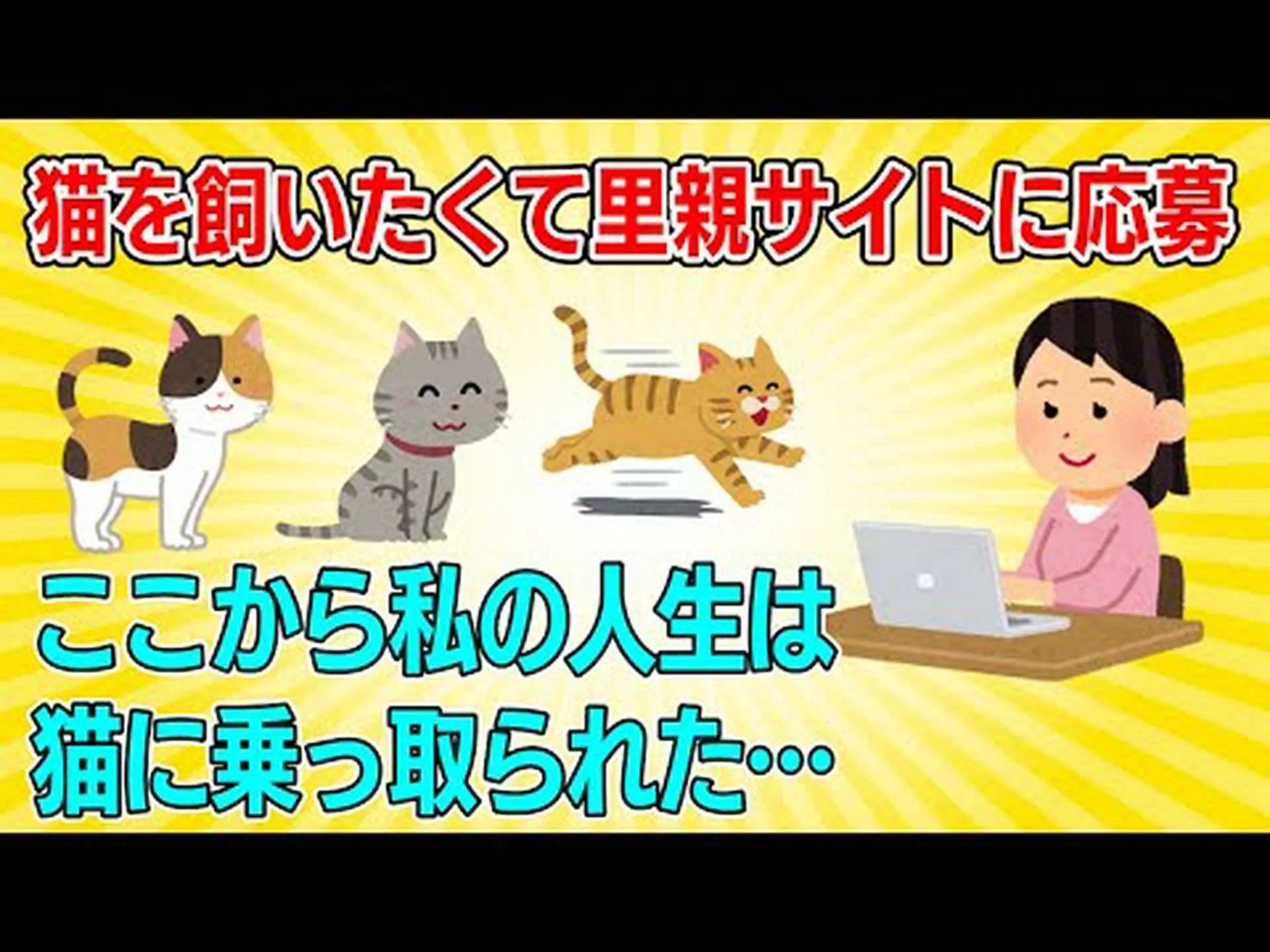 猫を引き取る 猫を引き取る