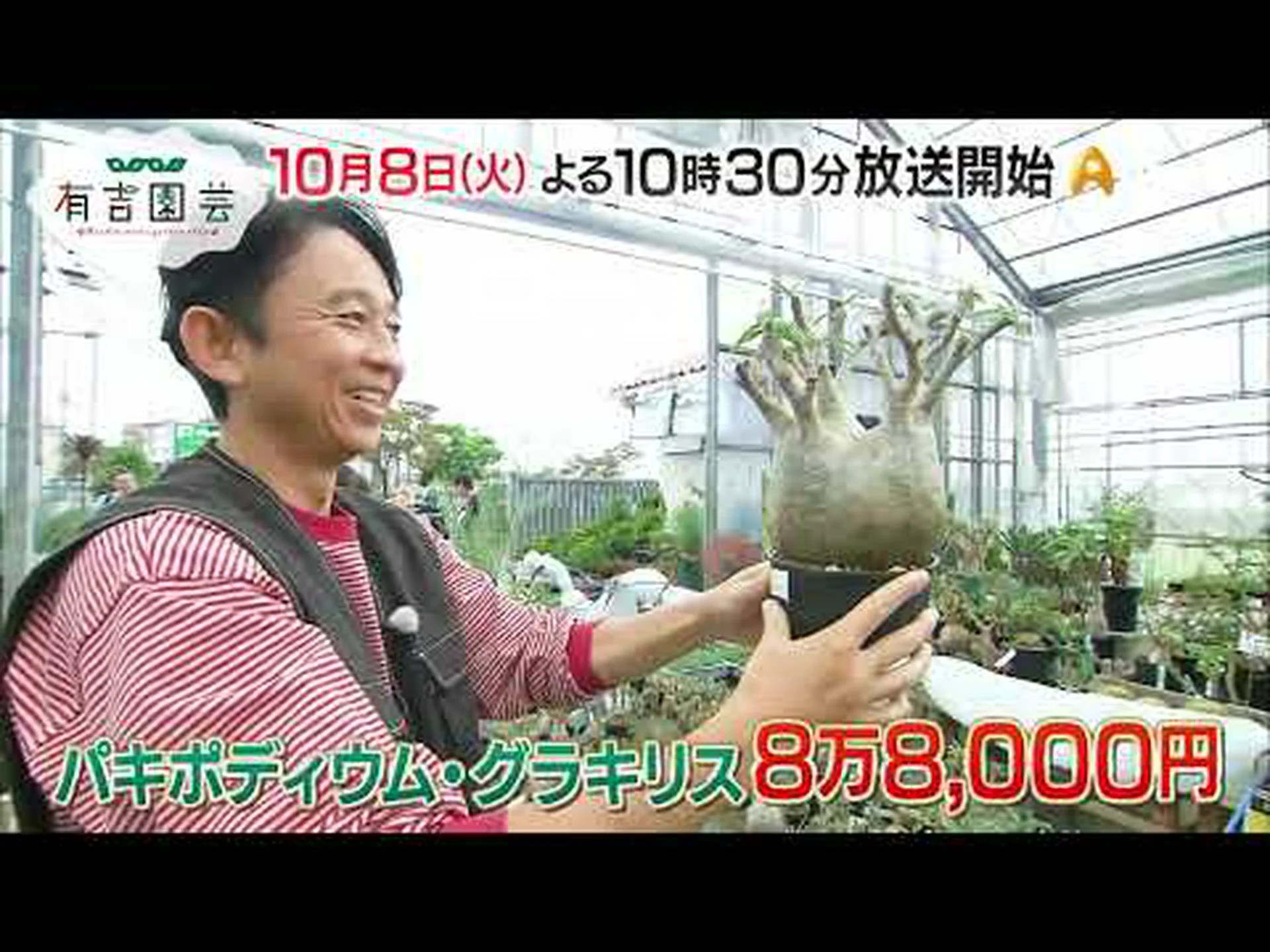 スキマー スキマー