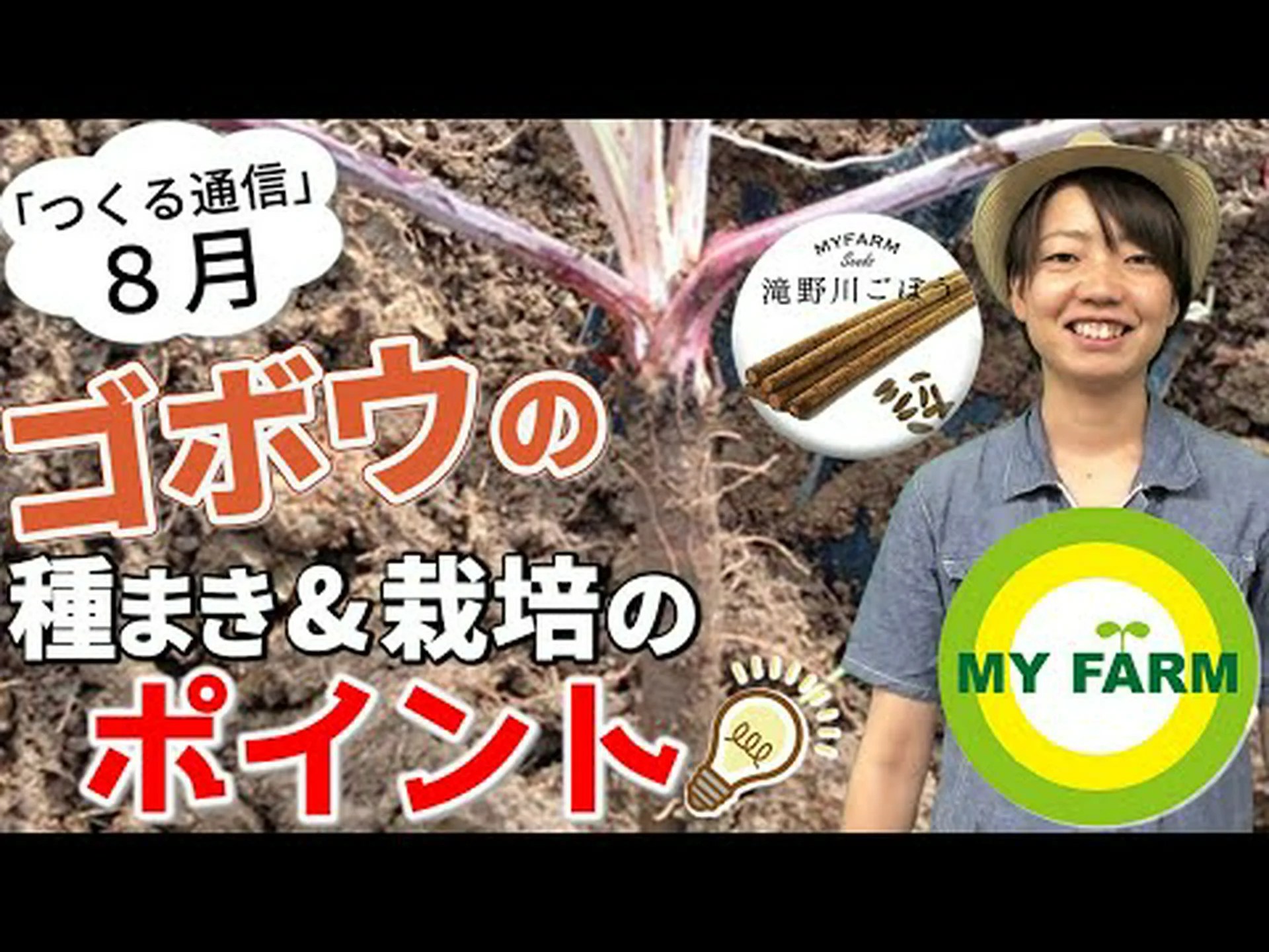 ごぼう、栽培ごぼう、ごぼう ごぼう、栽培ごぼう、ごぼう