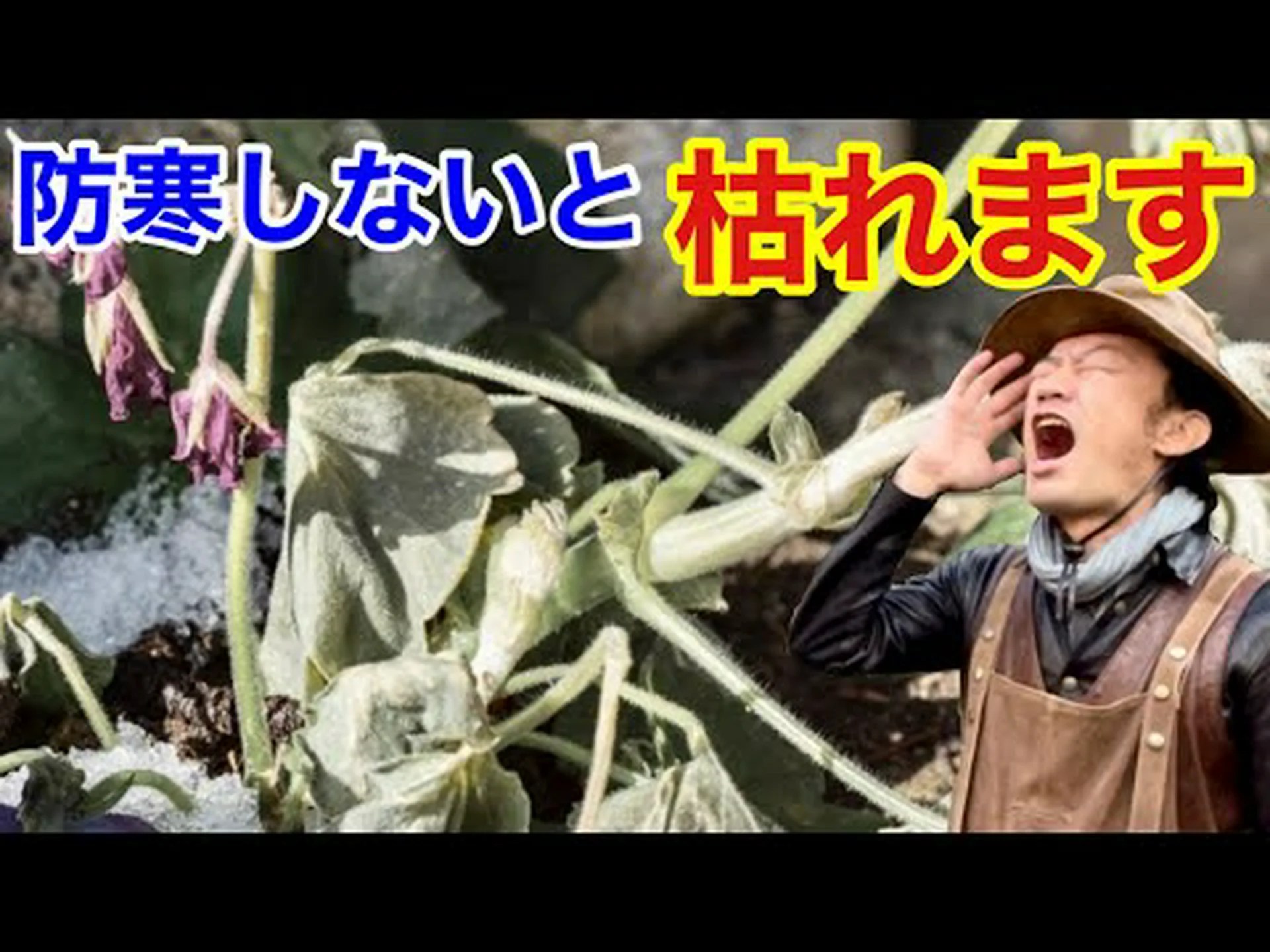 芝刈り機の防寒対策 芝刈り機の防寒対策