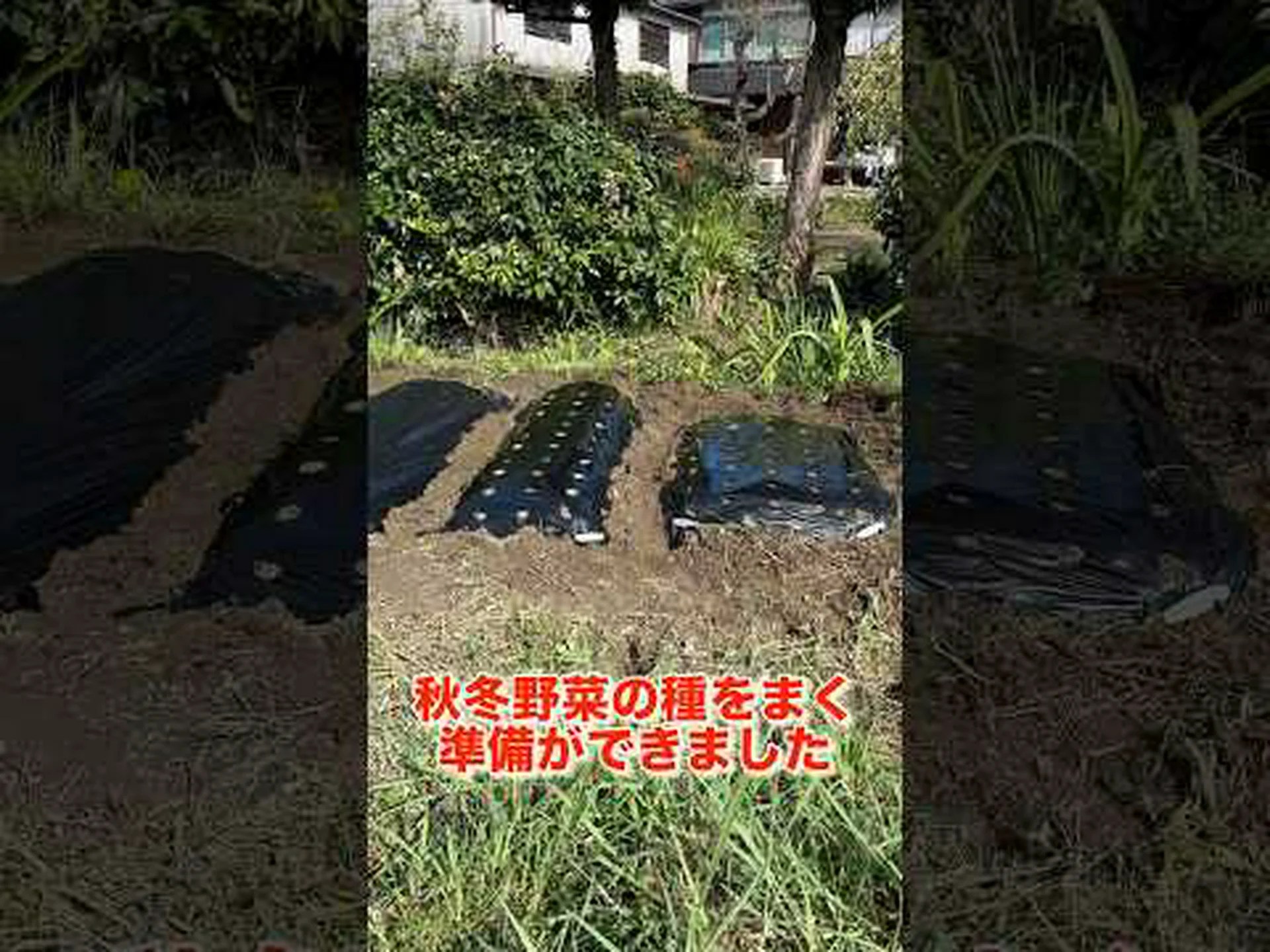 サラダ、自分自身を認めてください! サラダ、自分自身を認めてください!