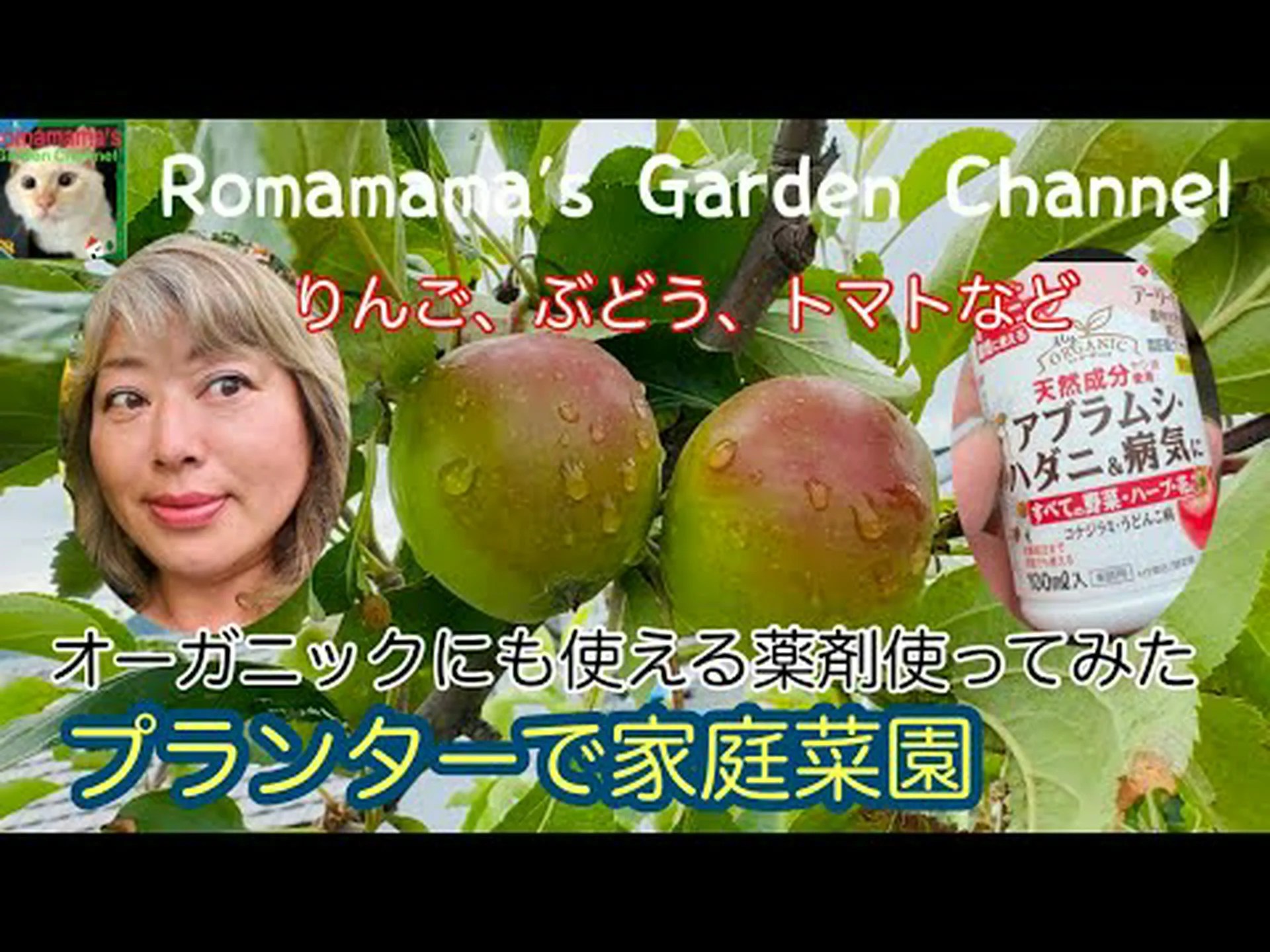 ブドウ栽培とオーガニック ブドウ栽培とオーガニック