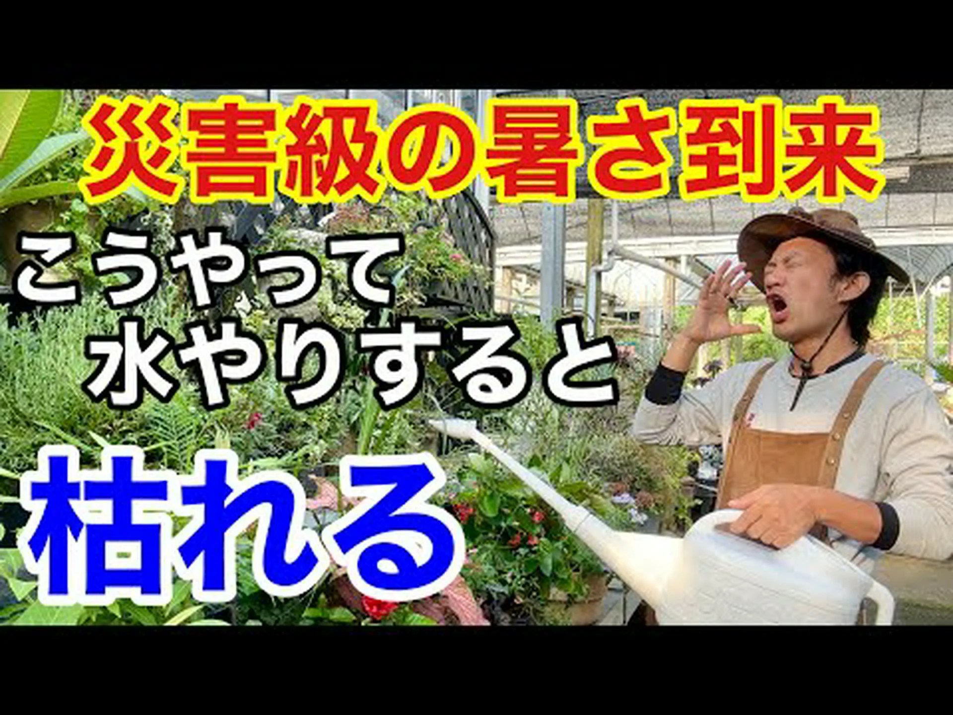 水を節約するために植物で覆われた密集した庭園 水を節約するために植物で覆われた密集した庭園
