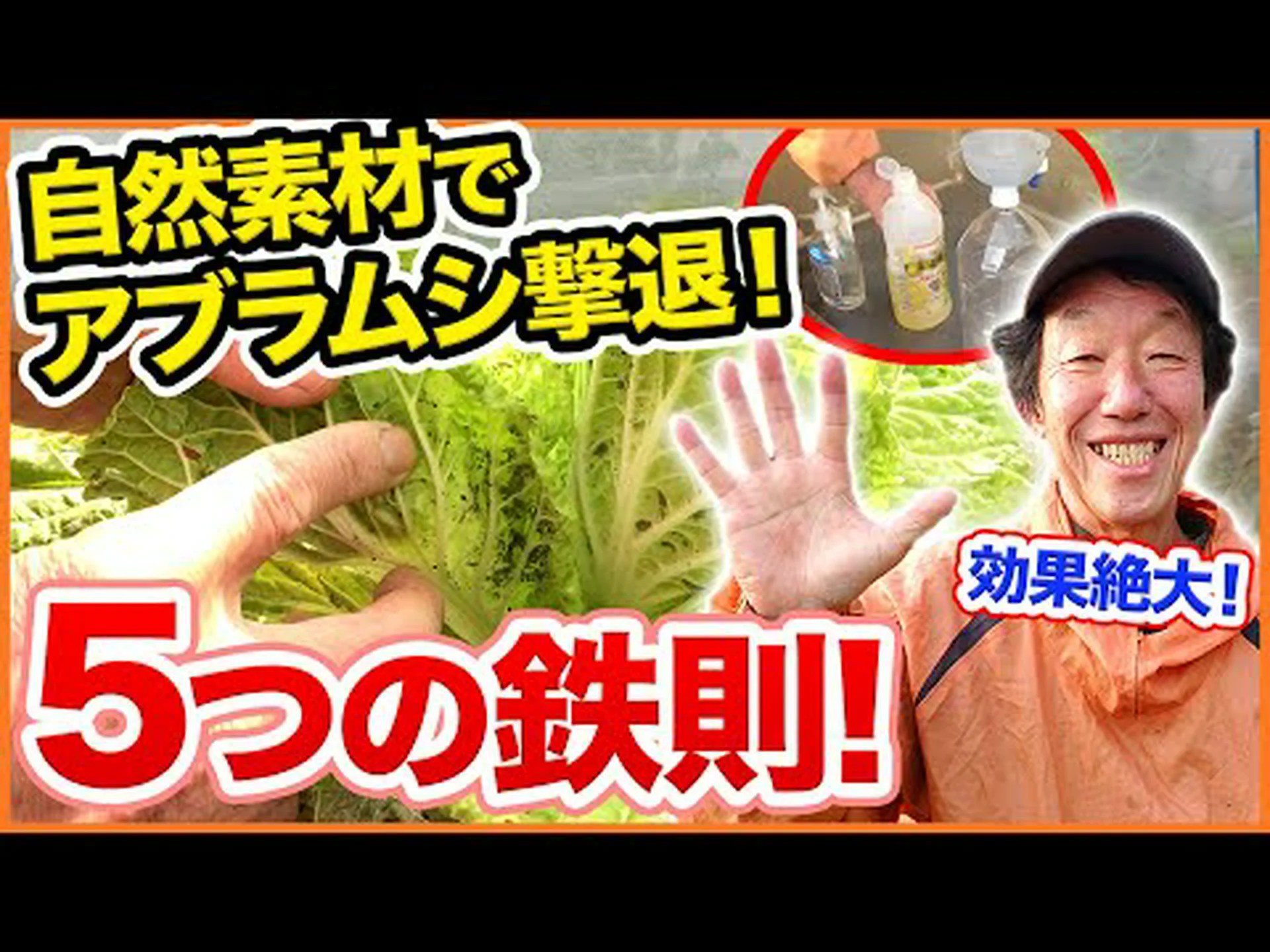 アブラムシと戦うにはどうすればいいですか? アブラムシと戦うにはどうすればいいですか?