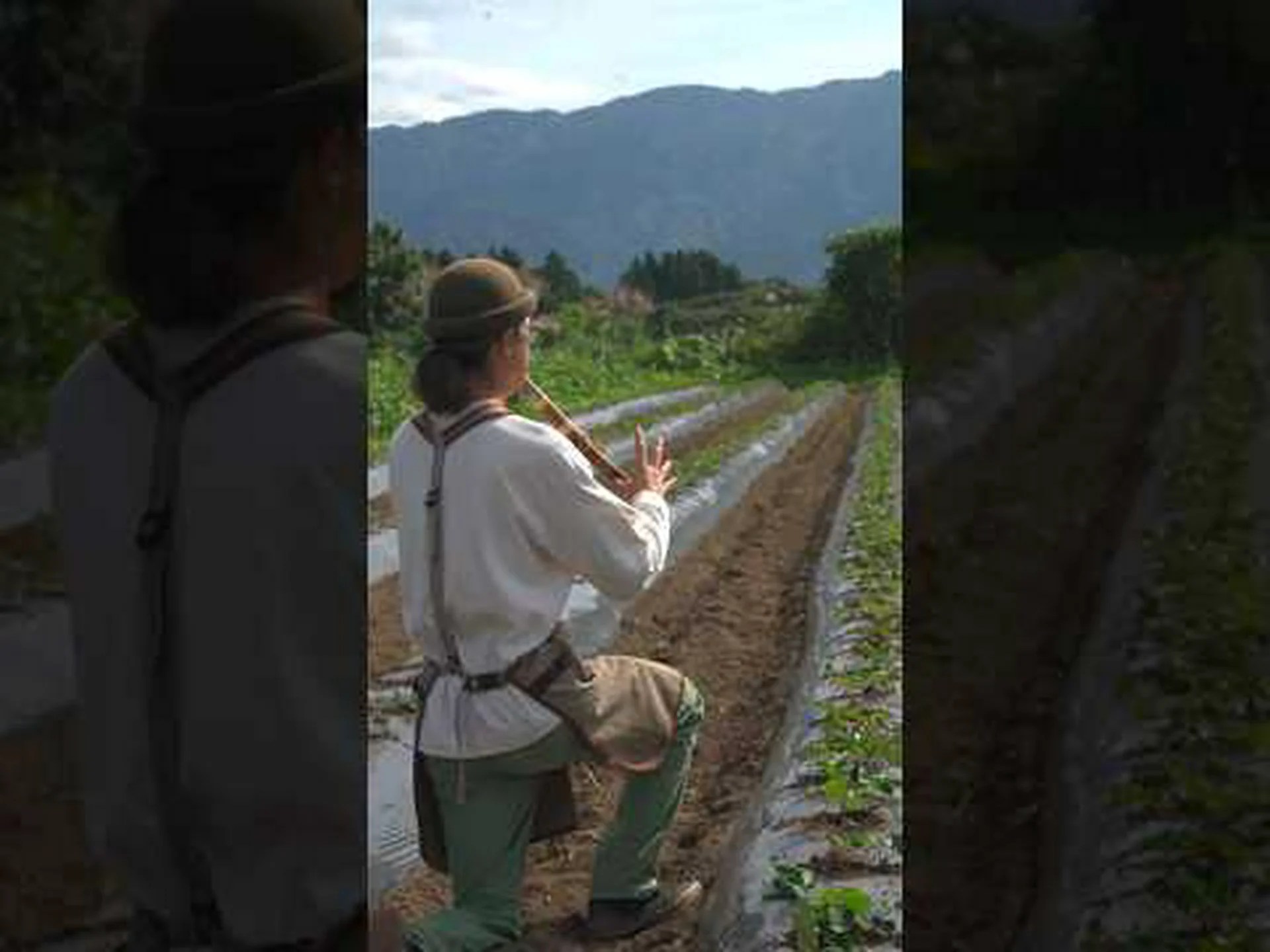 音楽植物、笛 音楽植物、笛