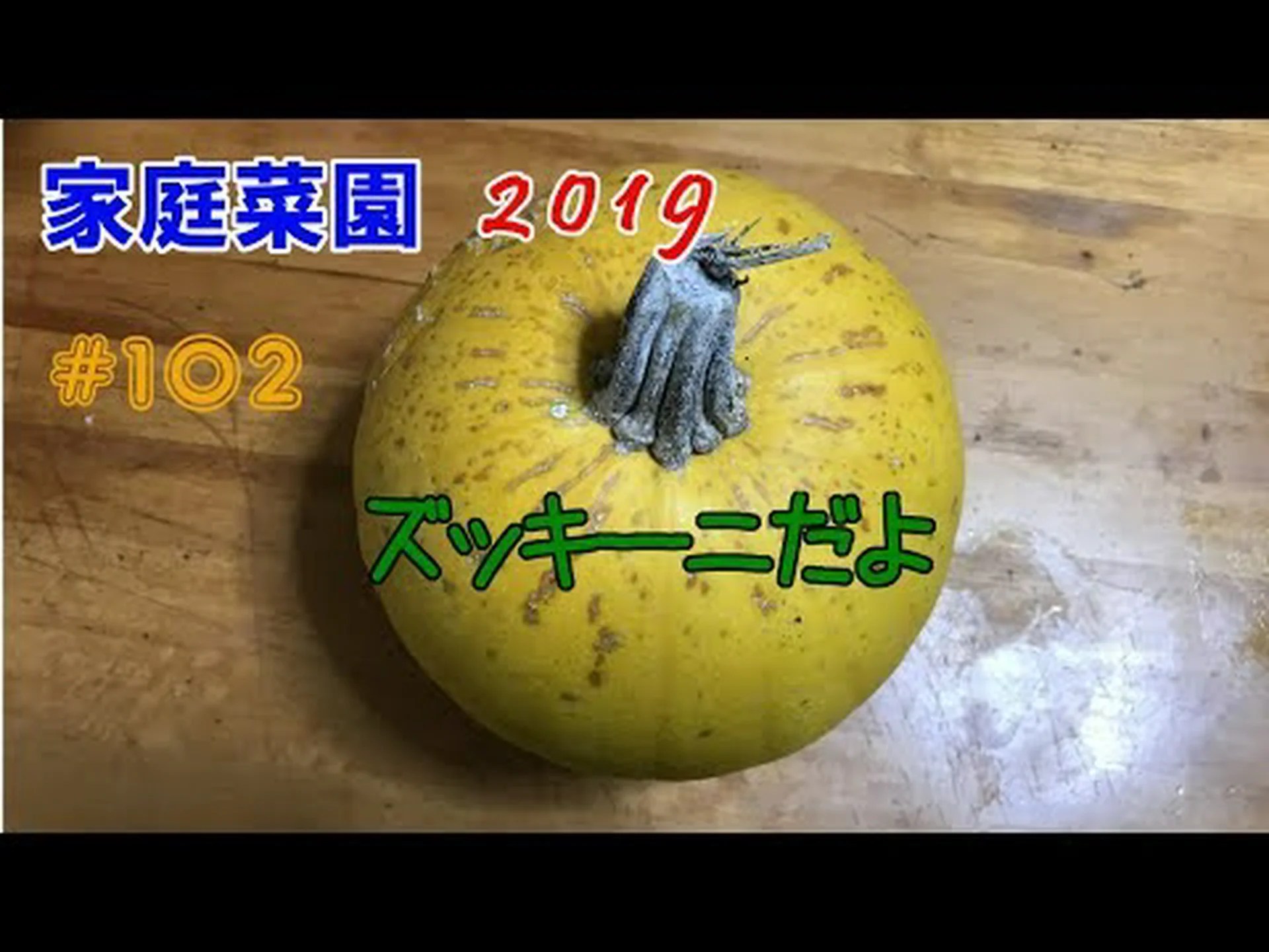 スカッシュ、ズッキーニ スカッシュ、ズッキーニ