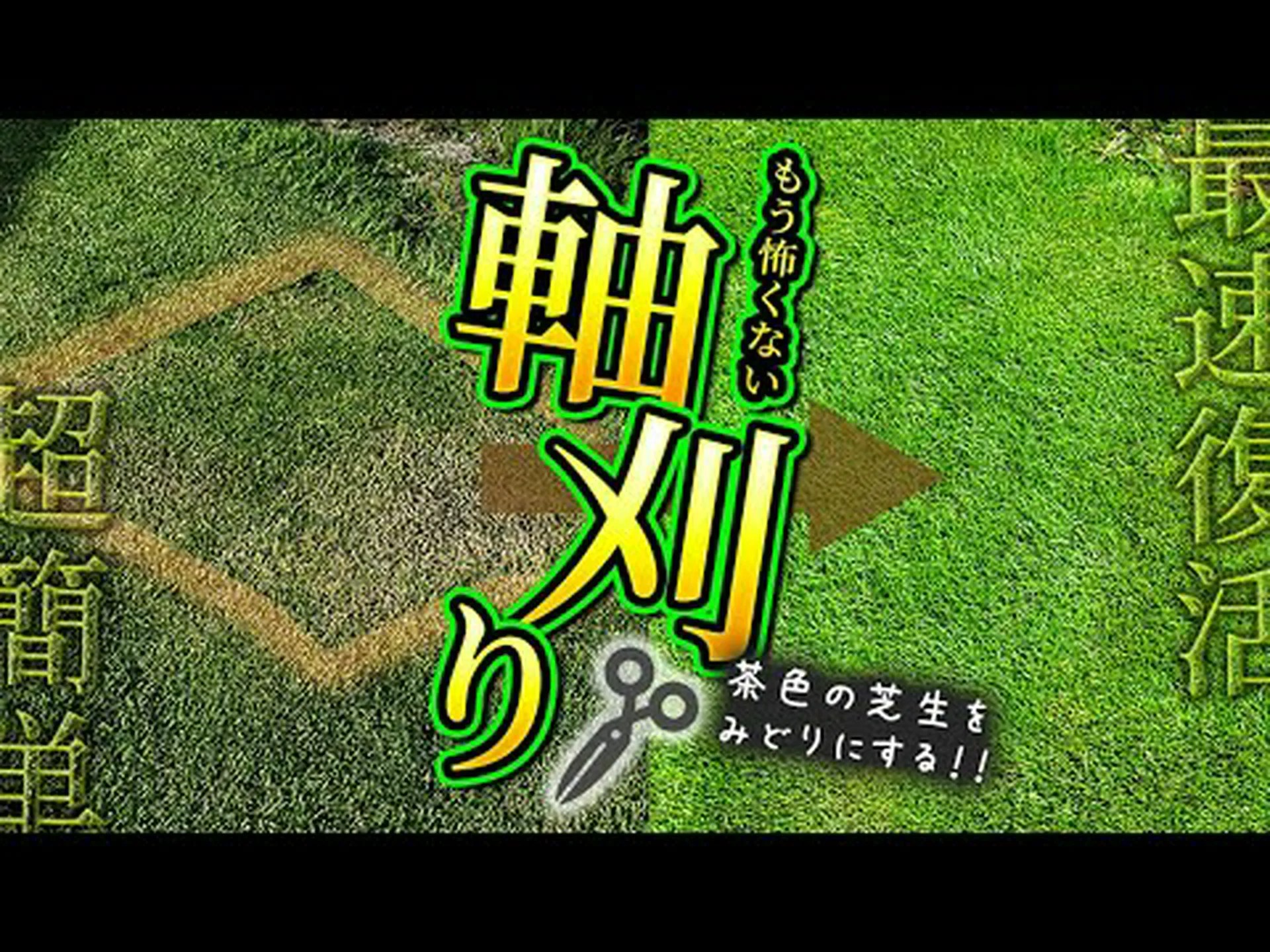 短く刈りすぎないでください! 短く刈りすぎないでください!
