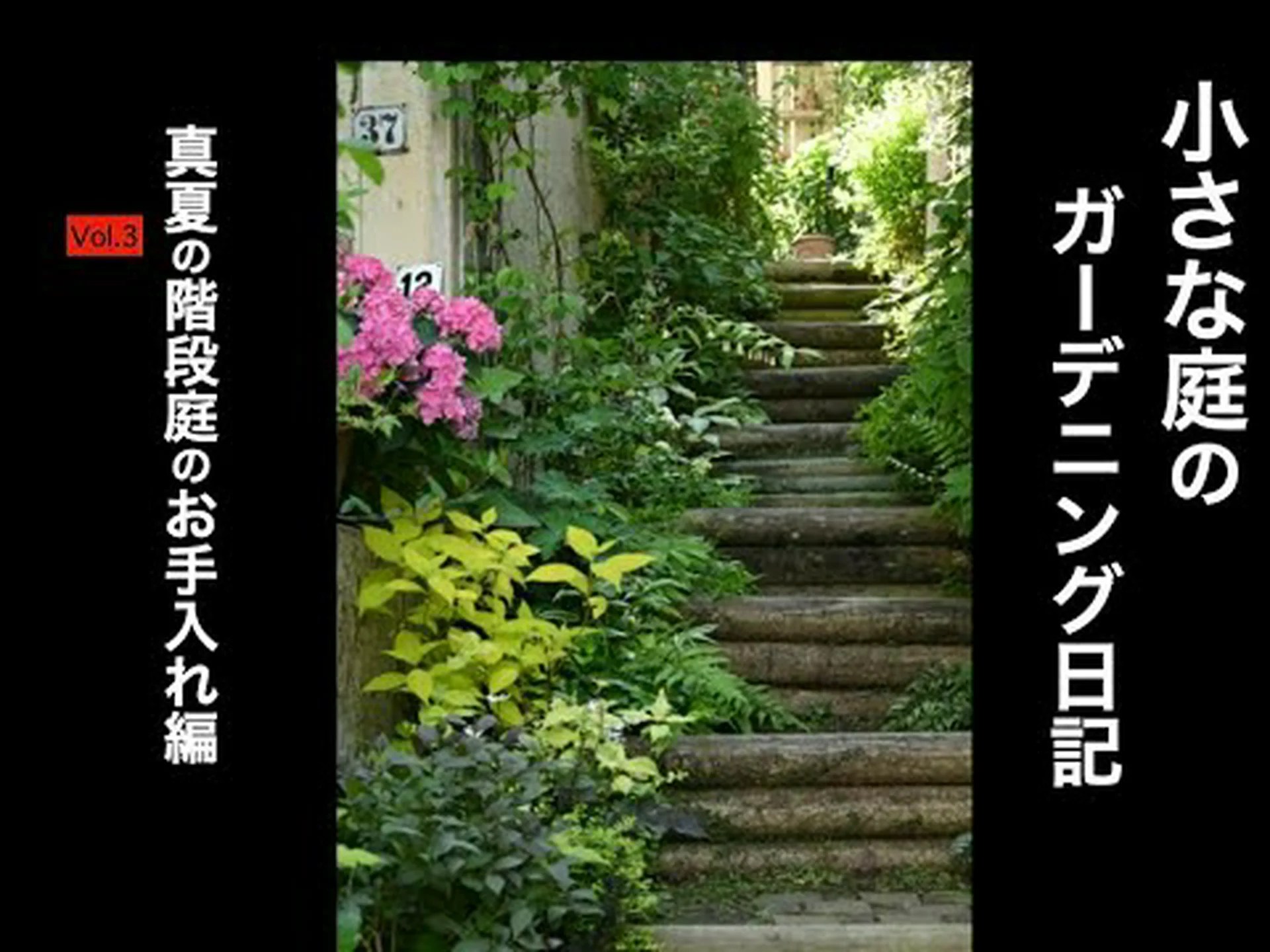 日本の階段 日本の階段